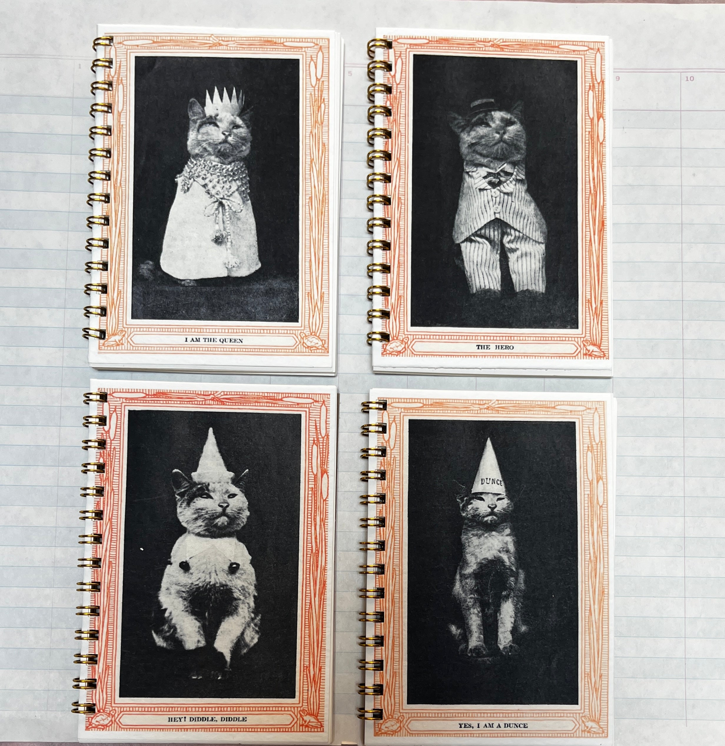 Cool Cat Portrait Mini Notebooks