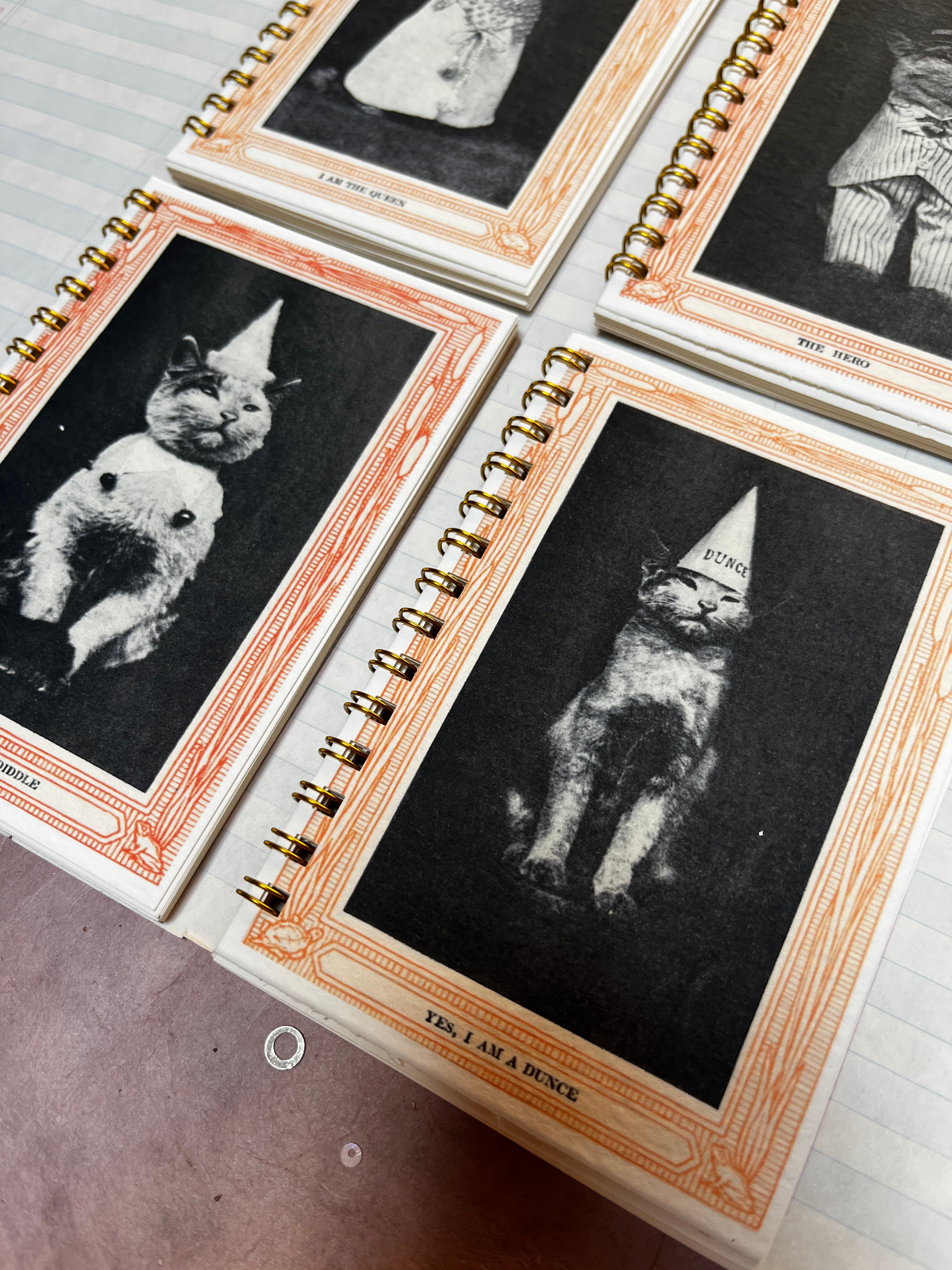 Cool Cat Portrait Mini Notebooks