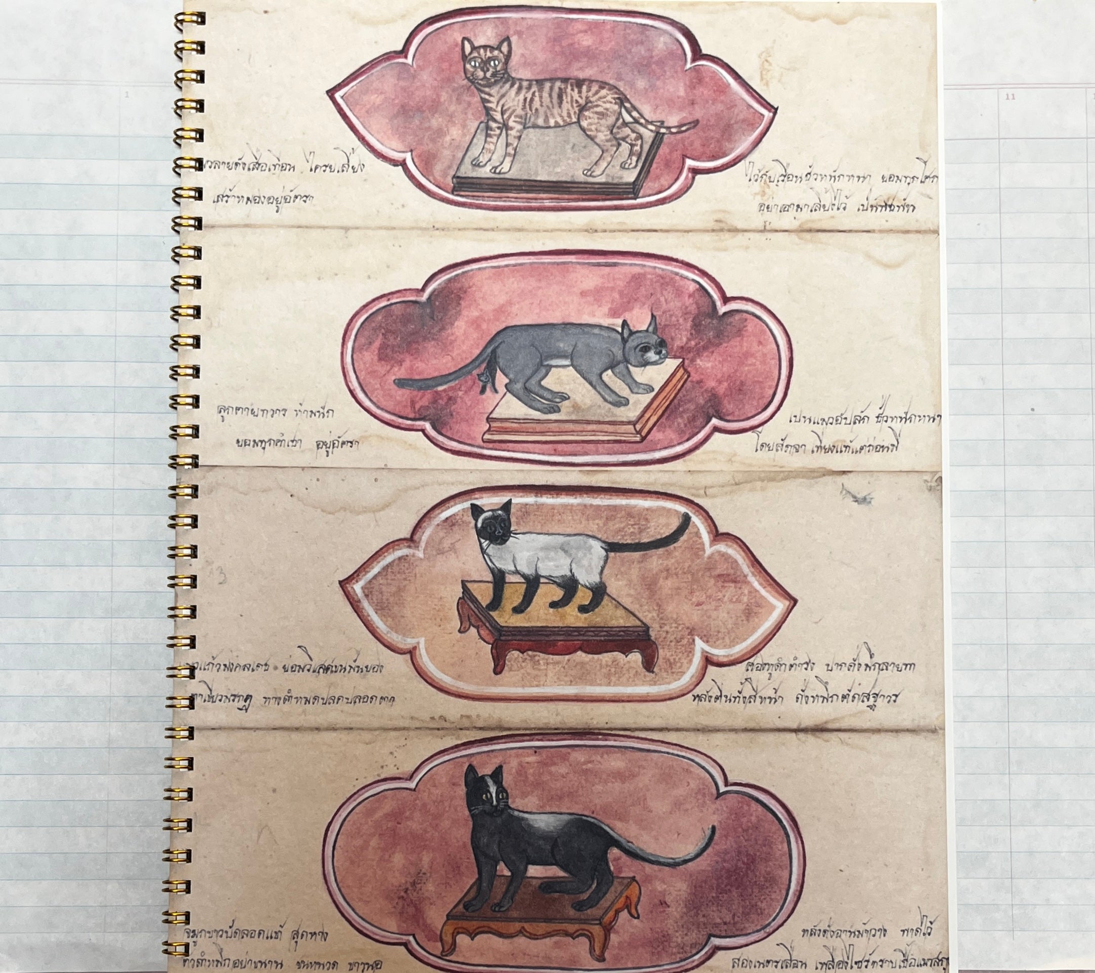 Primitive Cats Notebook