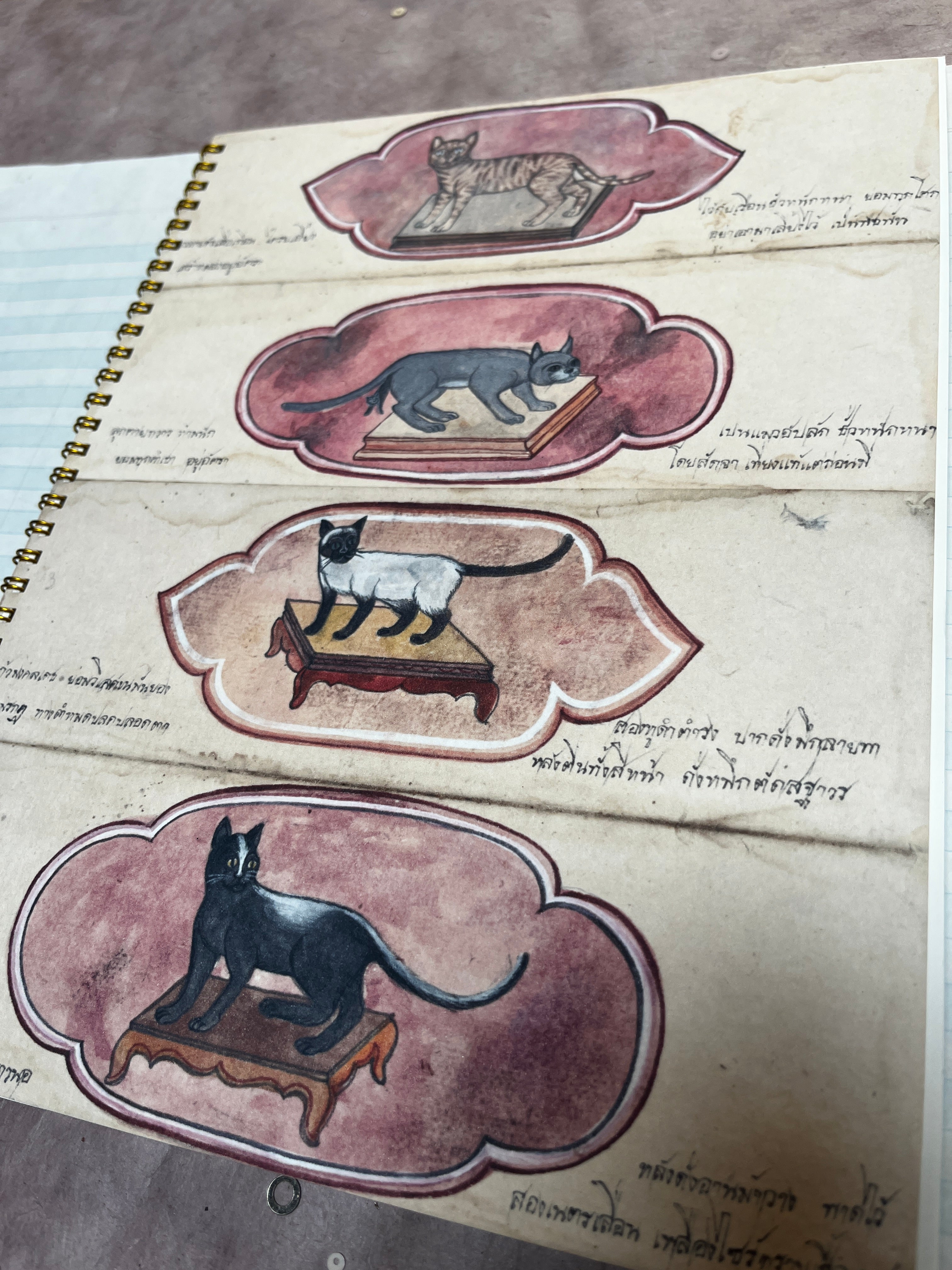 Primitive Cats Notebook