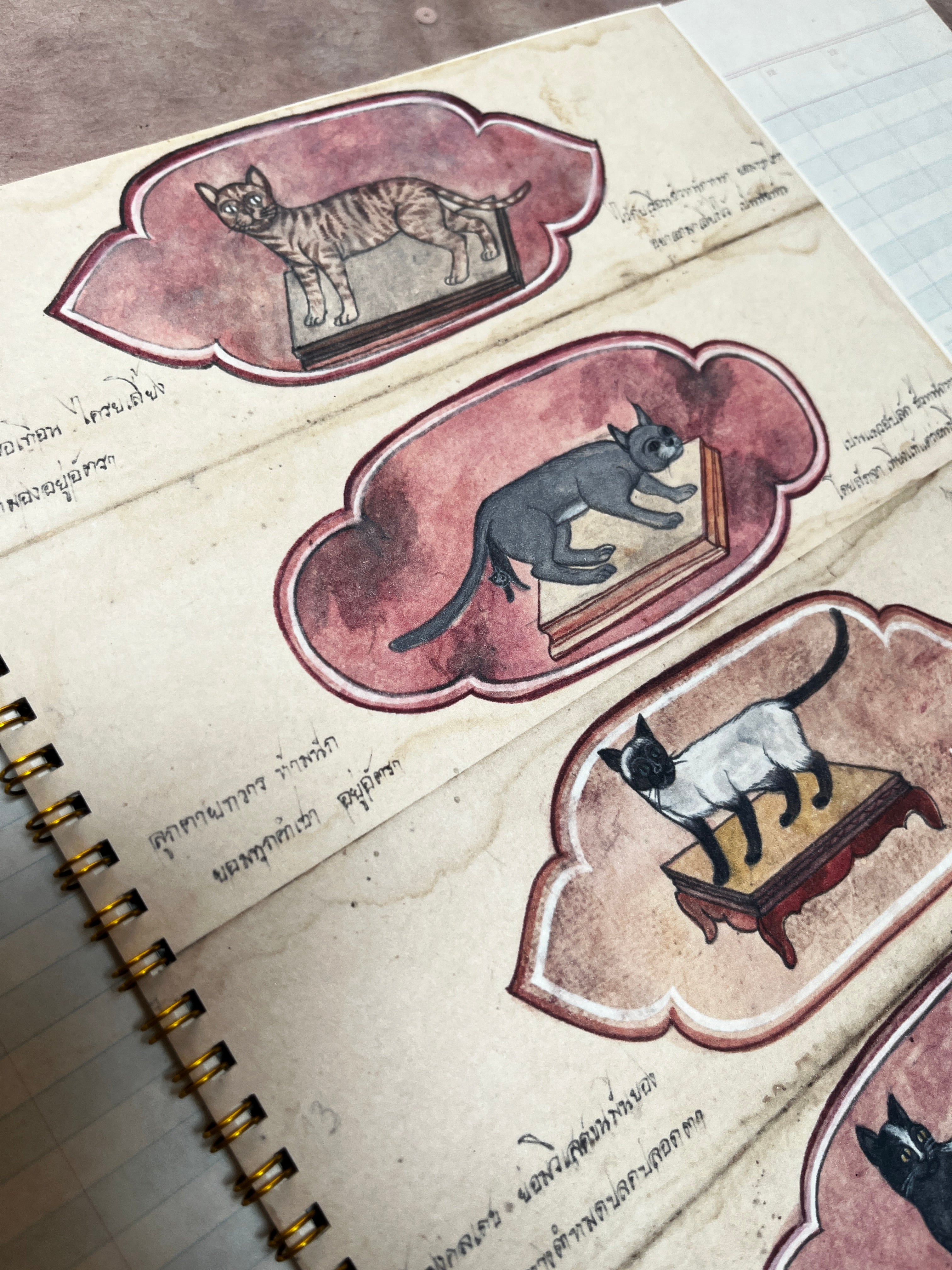 Primitive Cats Notebook