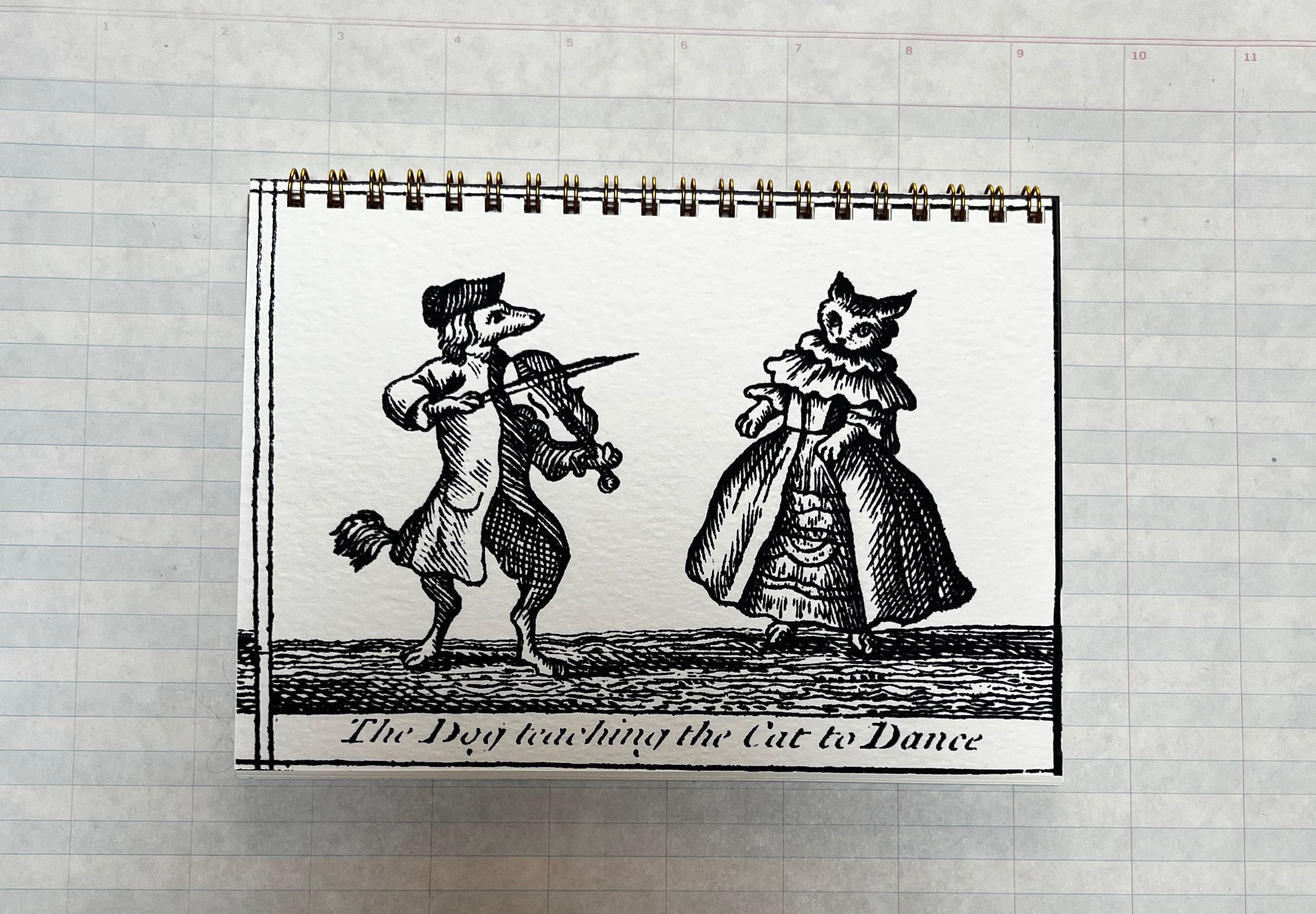 The Dog Teaching the Cat to Dance Notebook