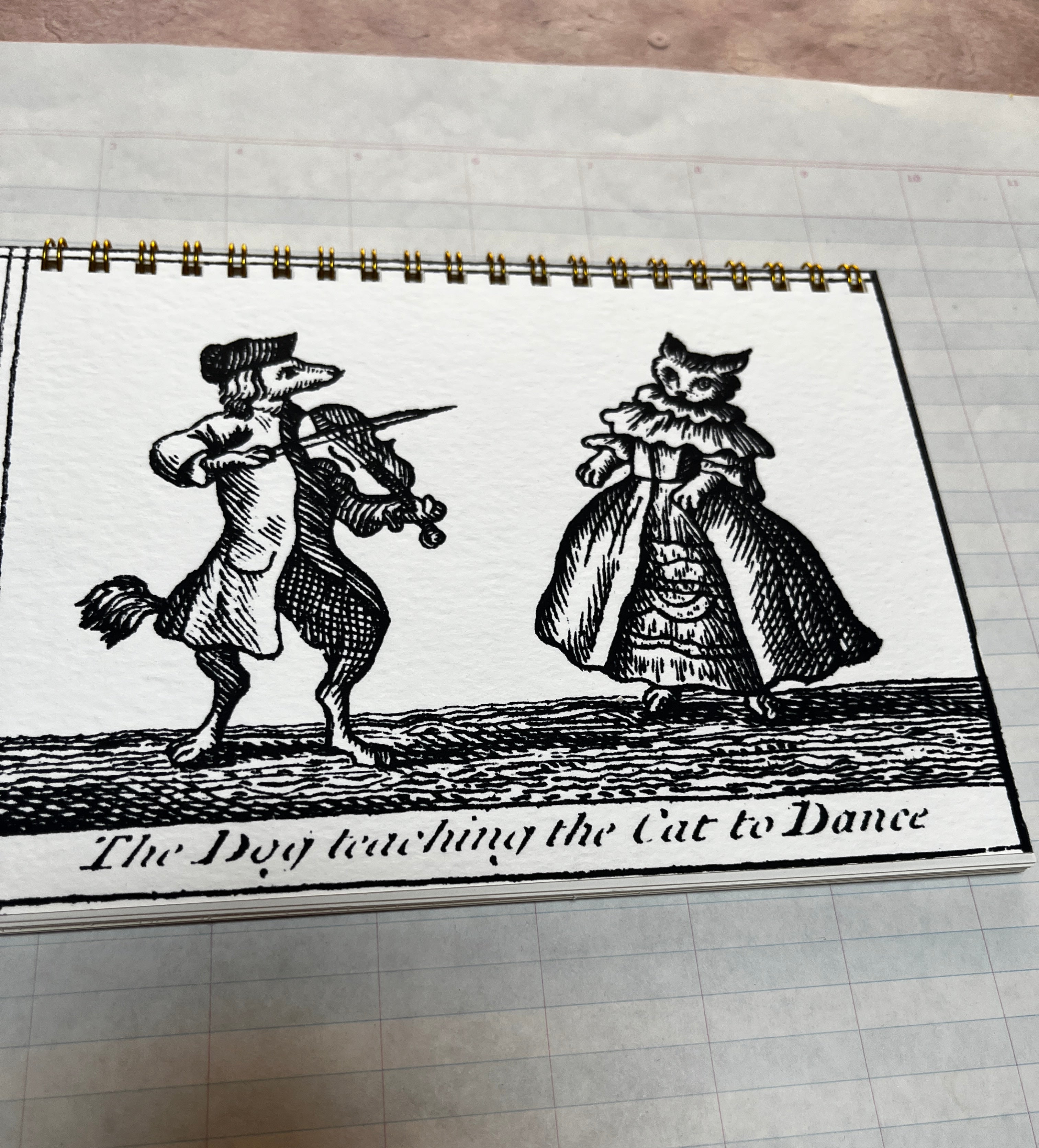 The Dog Teaching the Cat to Dance Notebook
