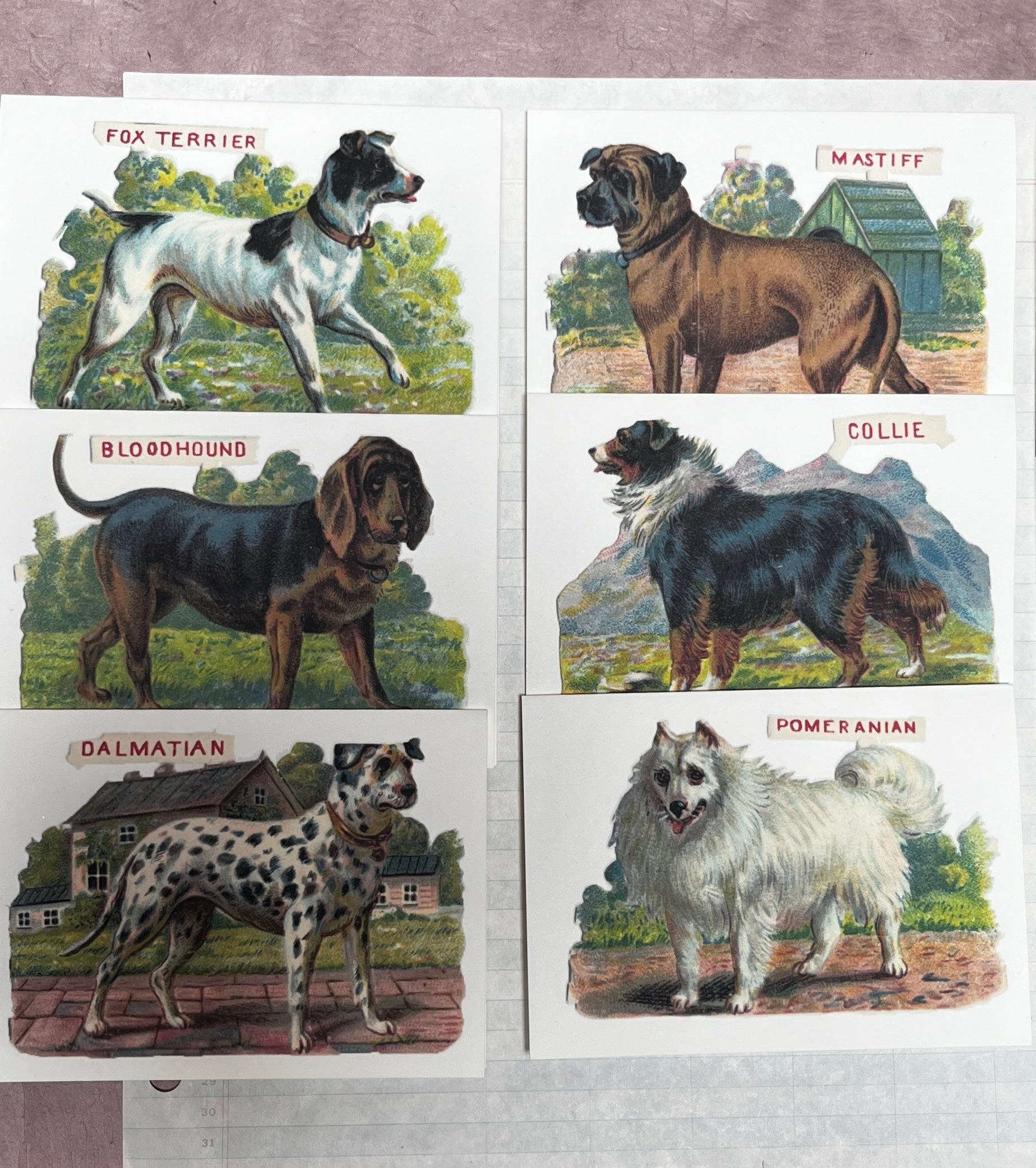 Classic Canine Cards