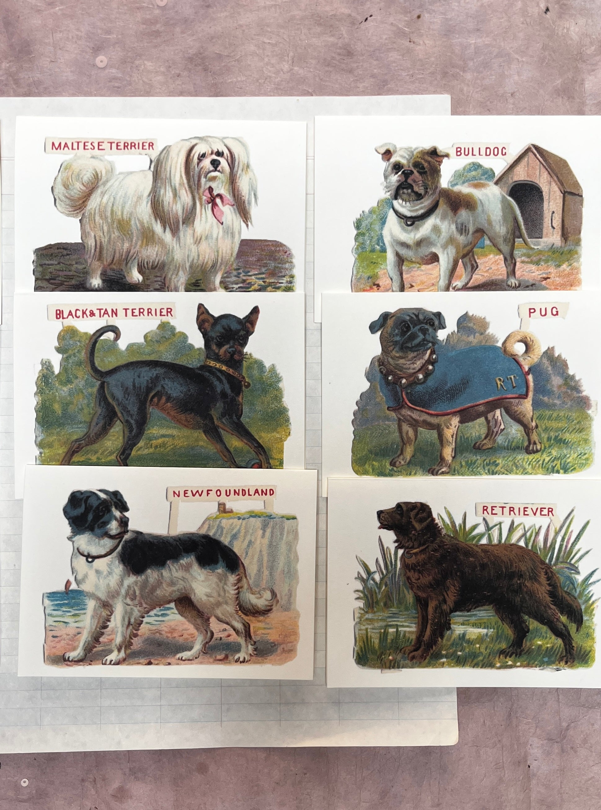 Classic Canine Cards