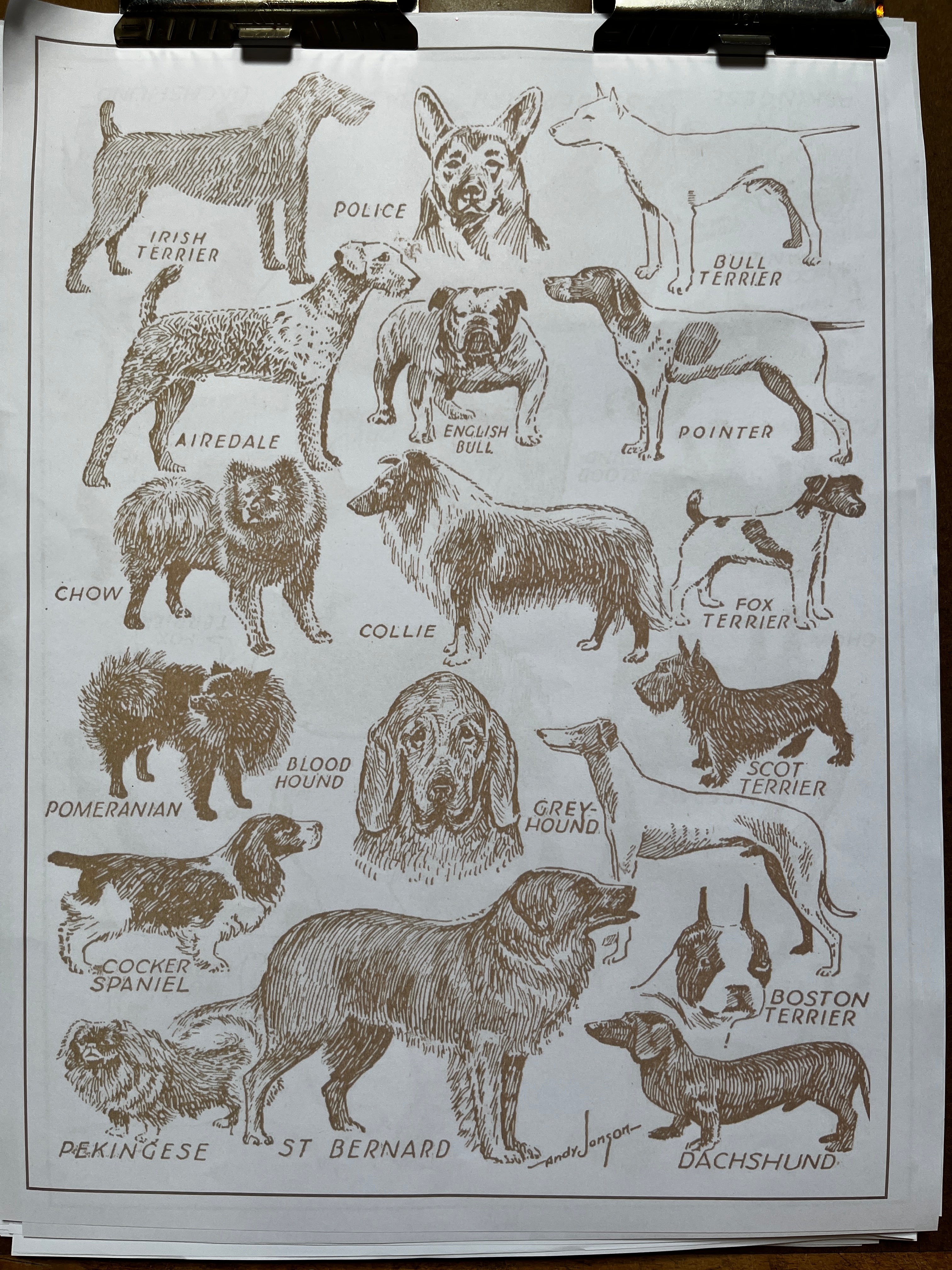 Parcel Artisan Wrapping Paper, Dog Breeds