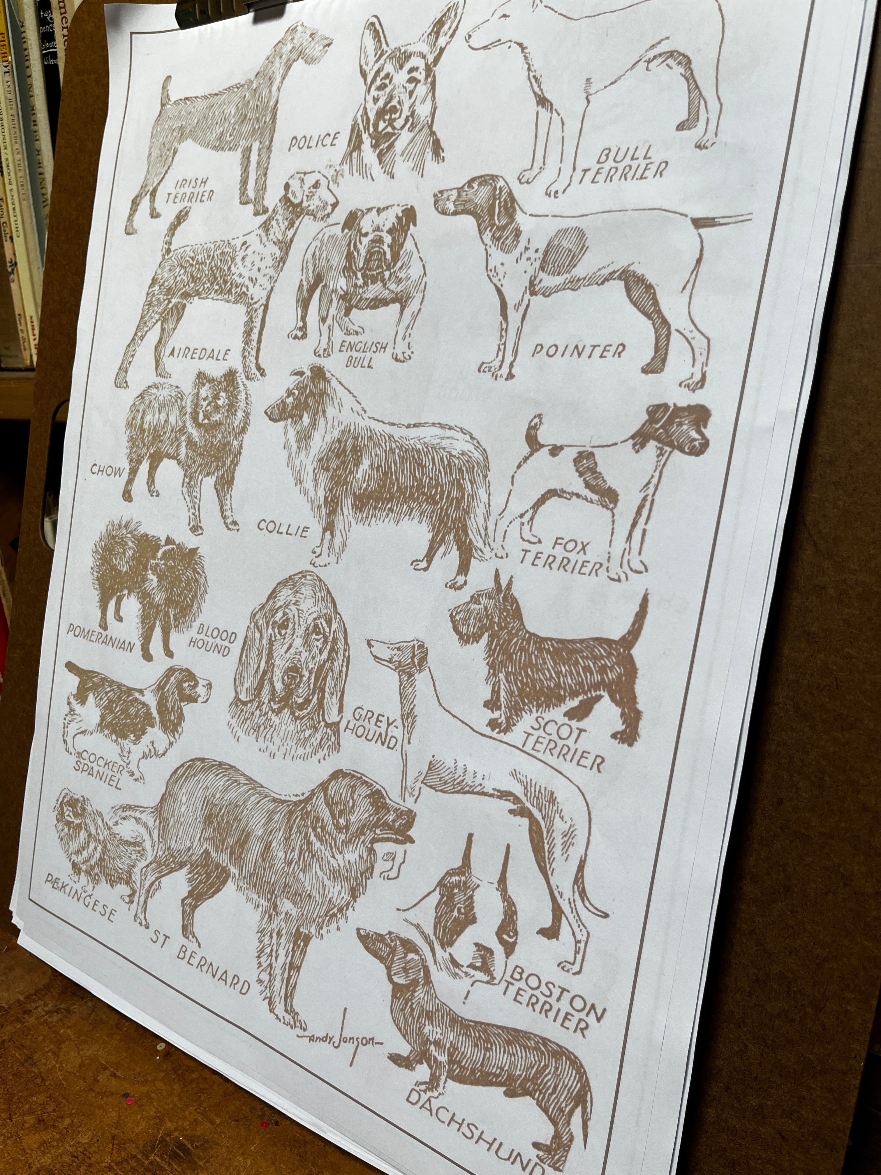 Parcel Artisan Wrapping Paper, Dog Breeds