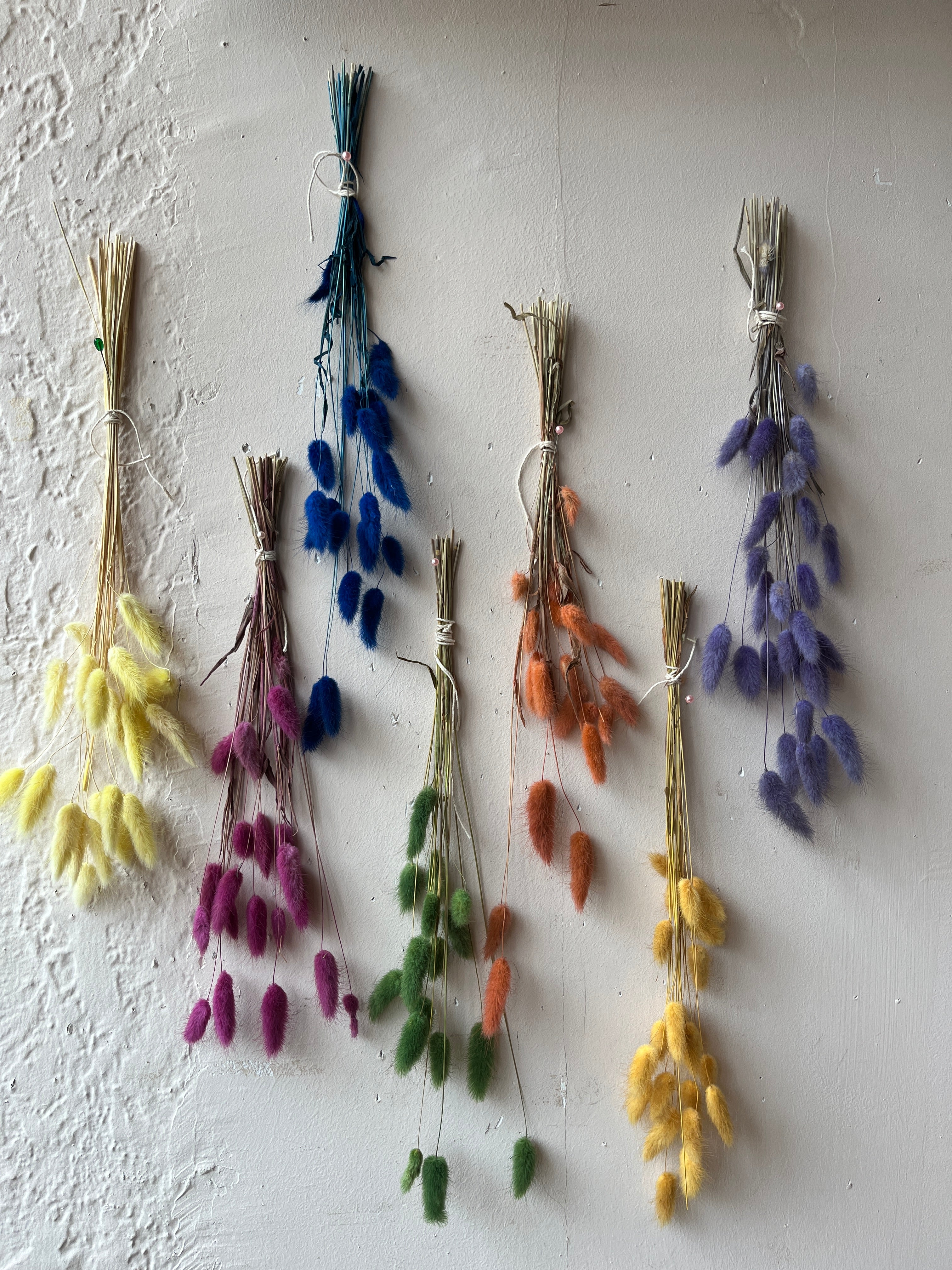 Colorful Dried Bunny Tail Bunches