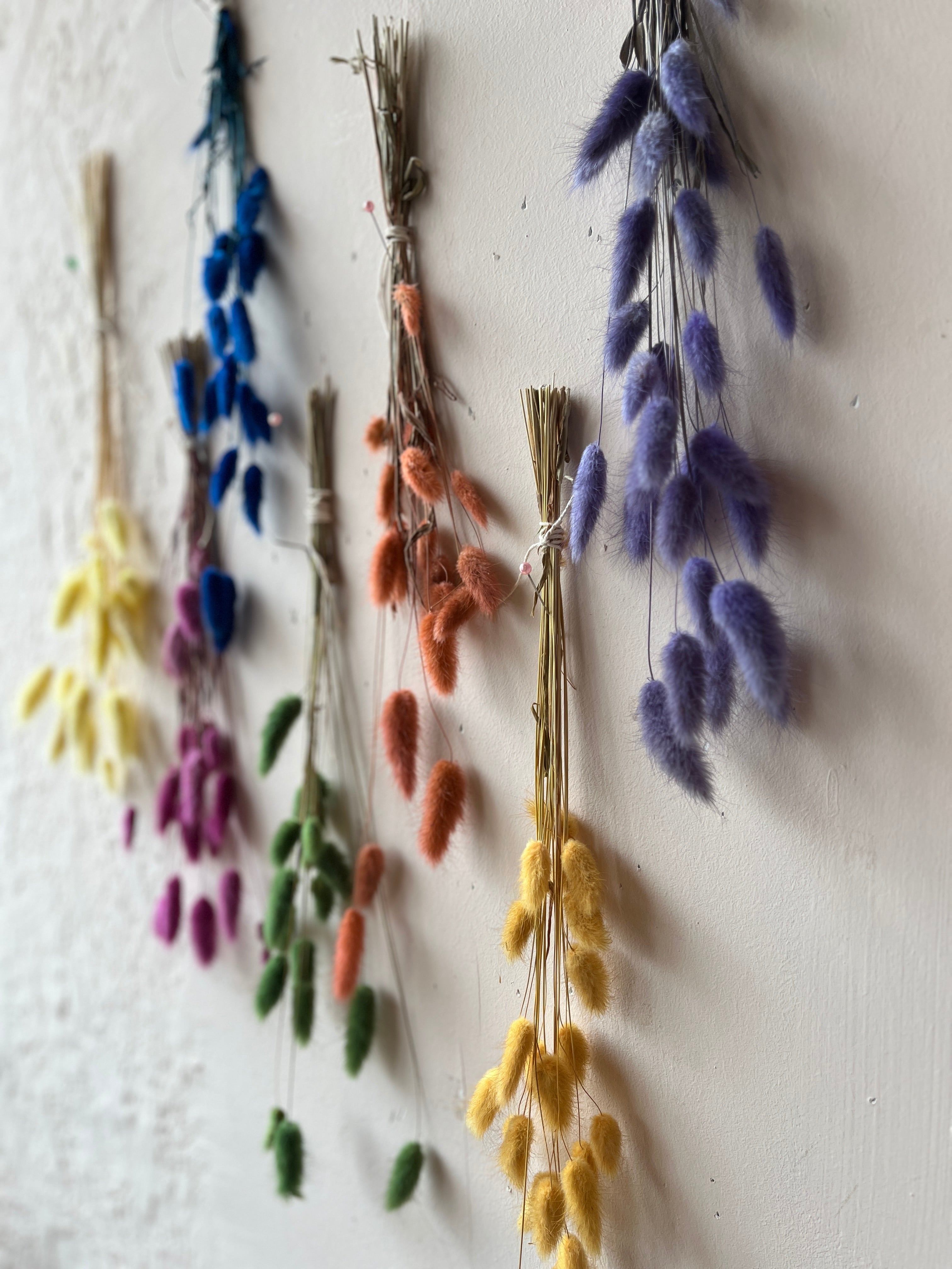 Colorful Dried Bunny Tail Bunches