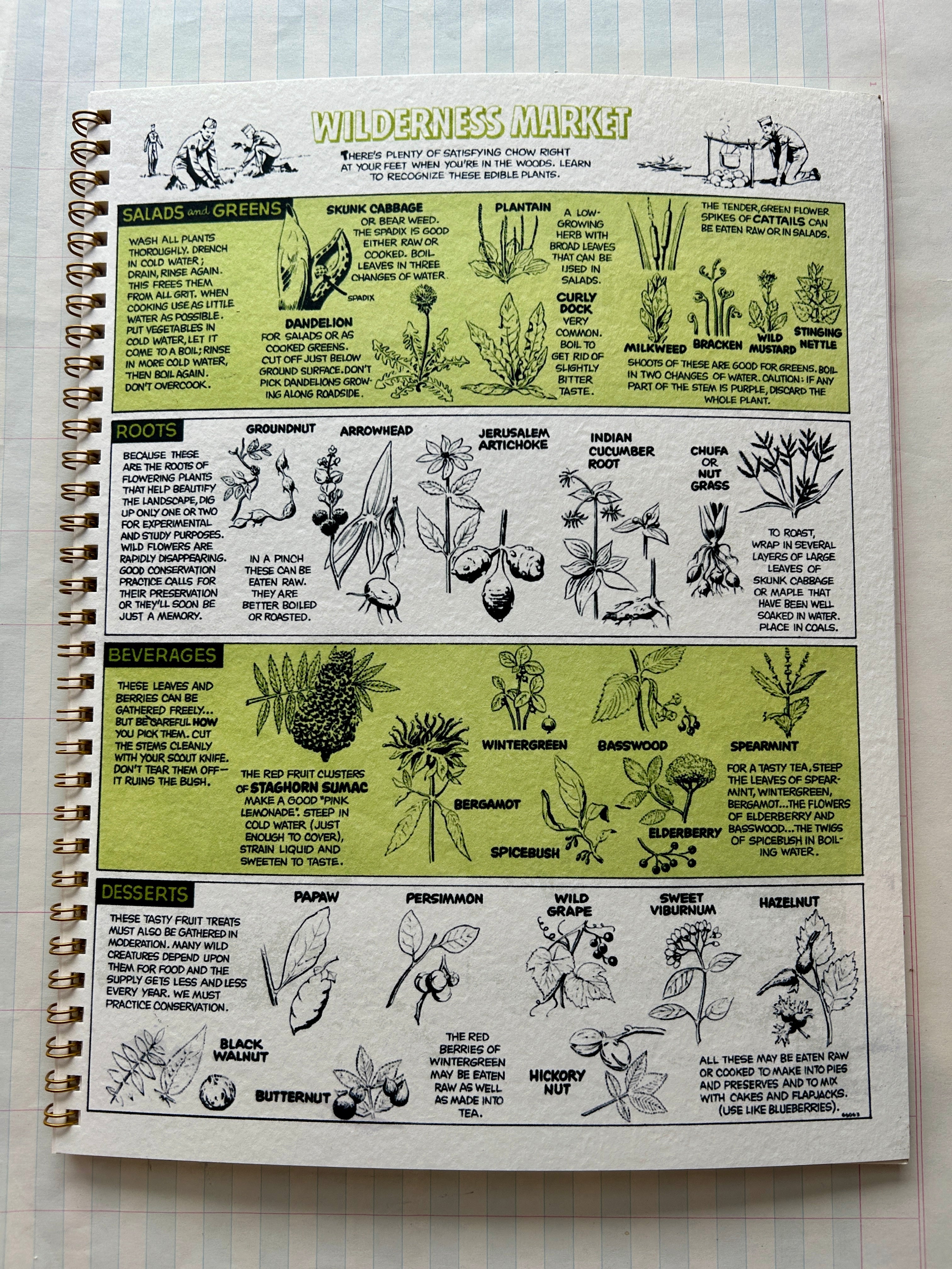 Nature Guides Notebooks