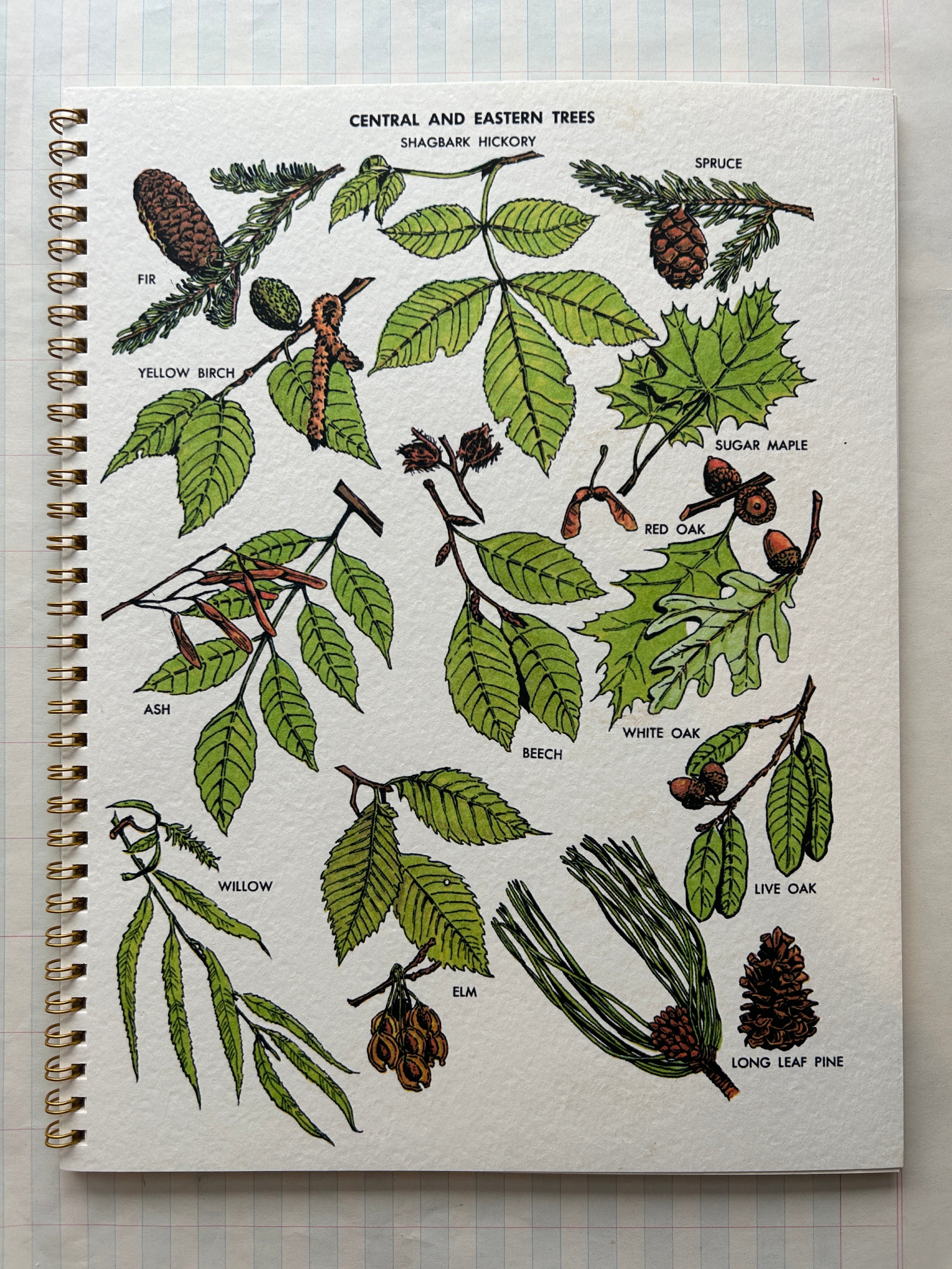 Nature Guides Notebooks