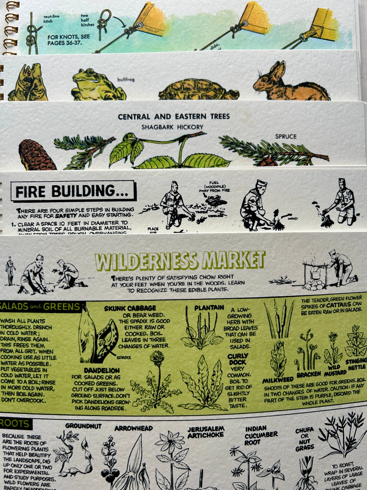 Nature Guides Notebooks | PARCEL
