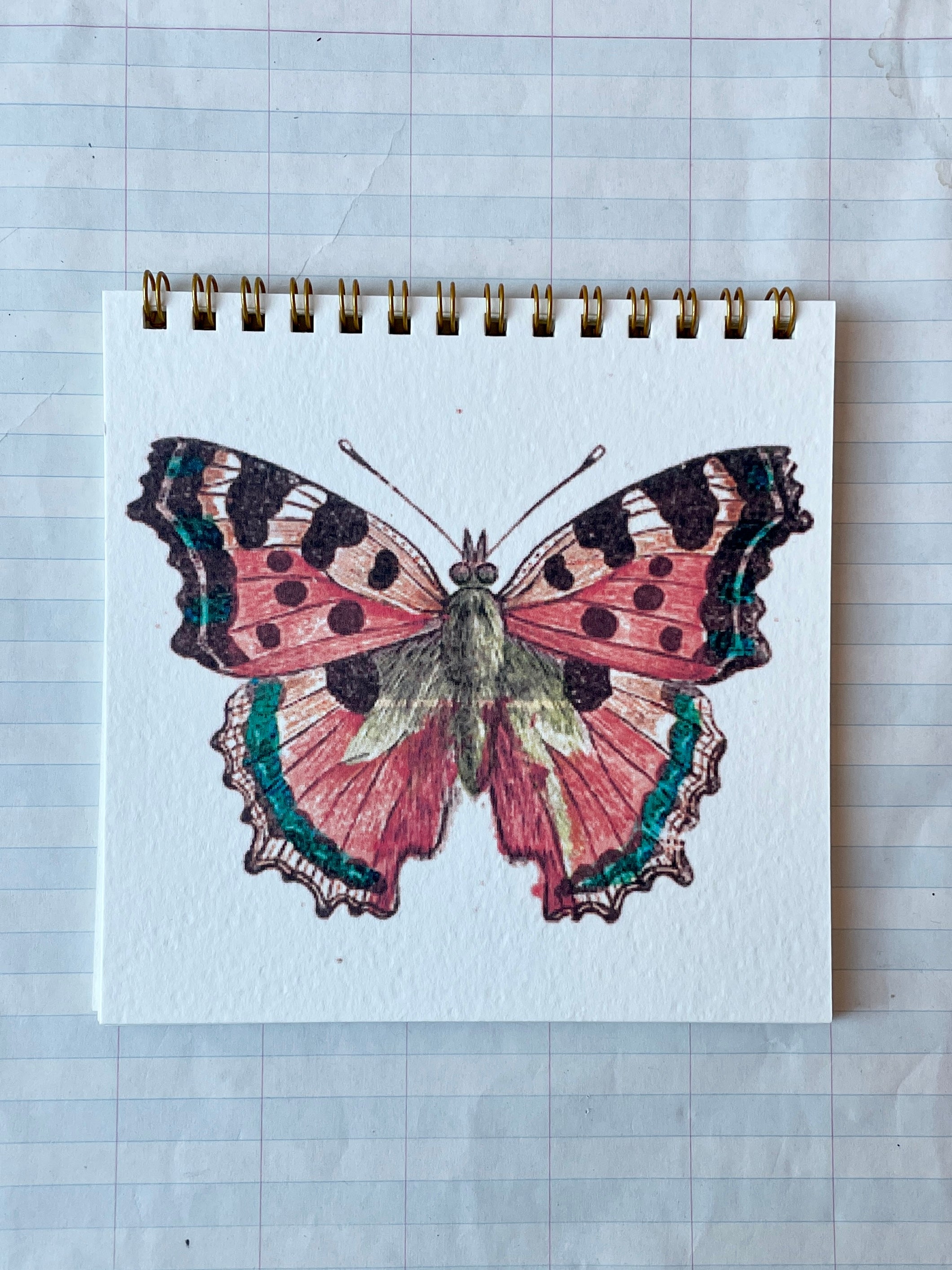 Butterfly Square Notebook I