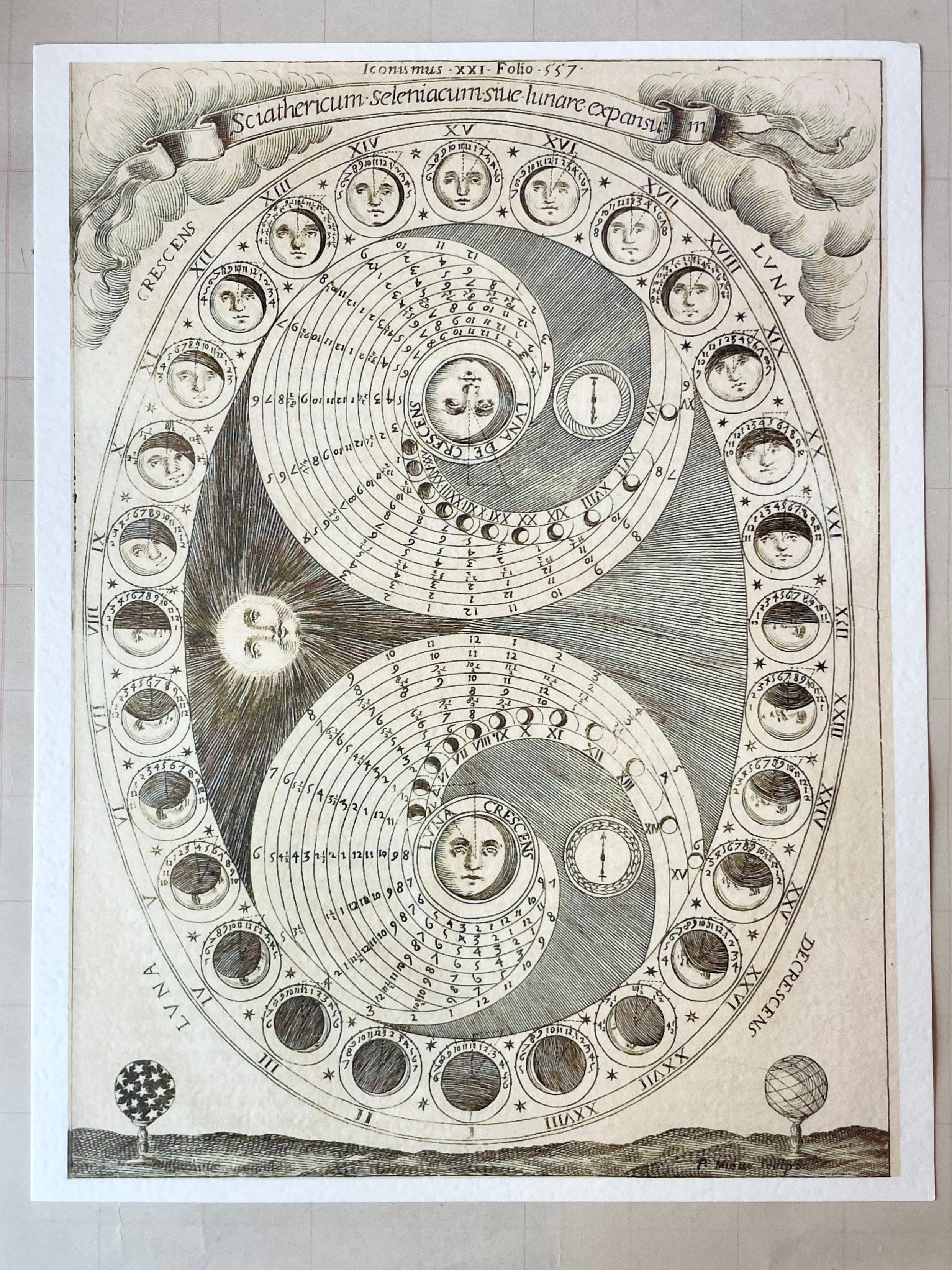 Celestial Moon Phase/Lunar Cycle Print