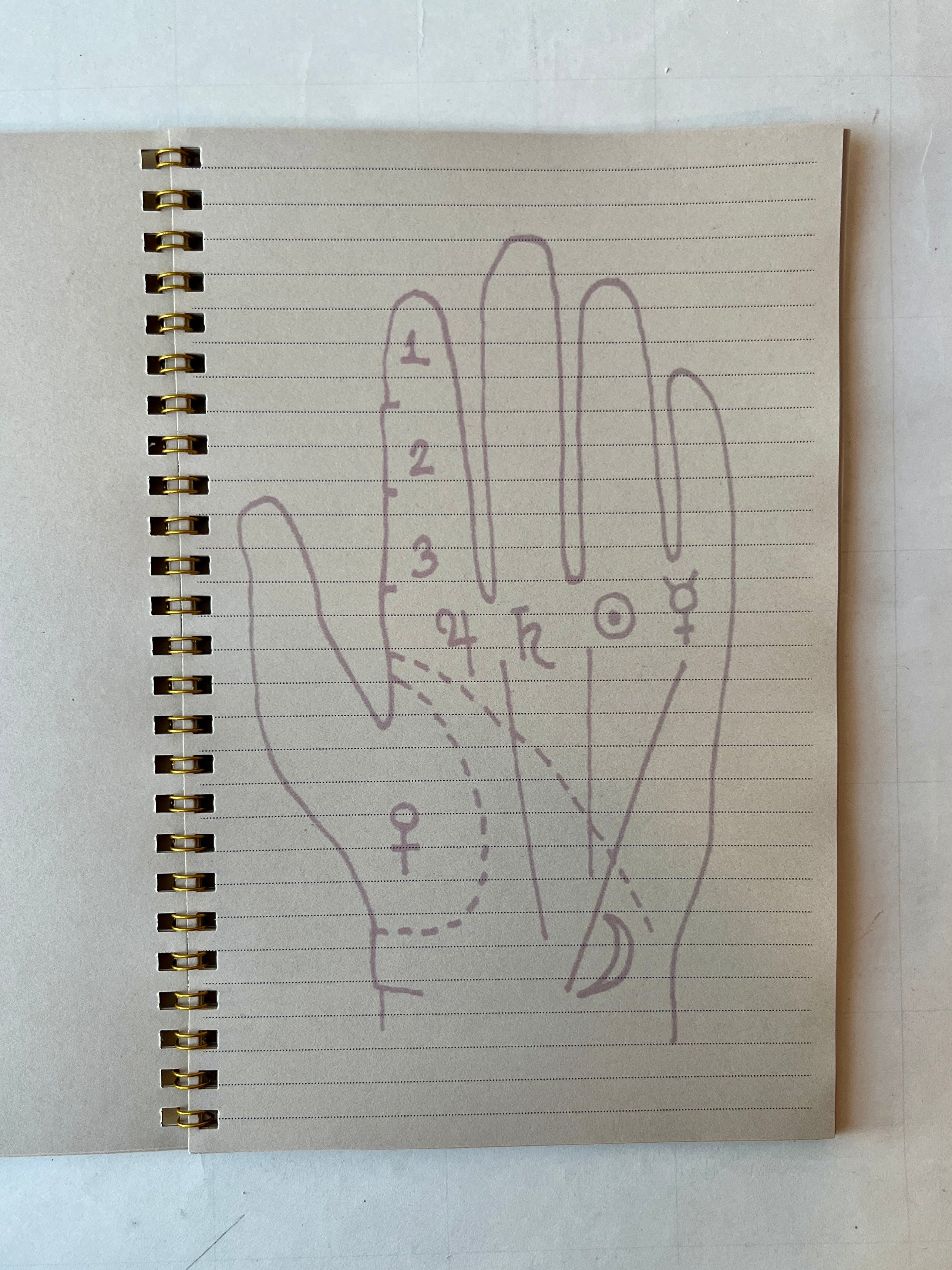 Palmistry Notebook