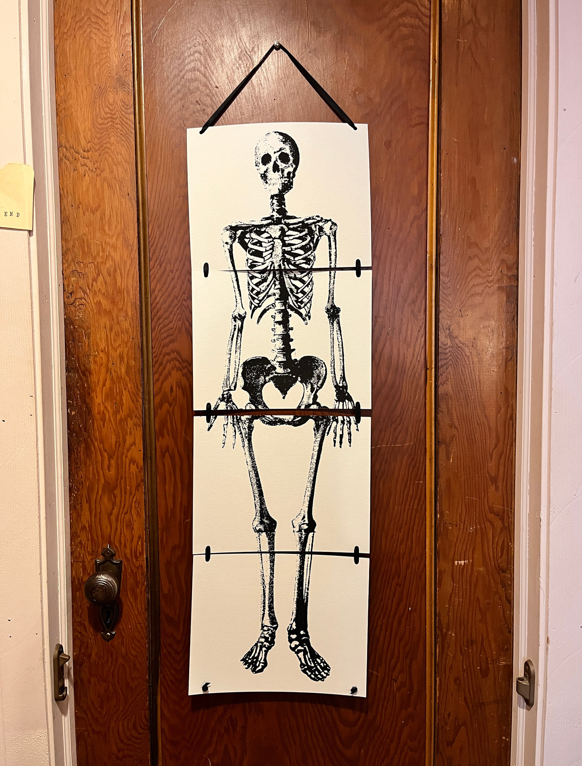 Rattle My Bones Hanging Skeleton | PARCEL
