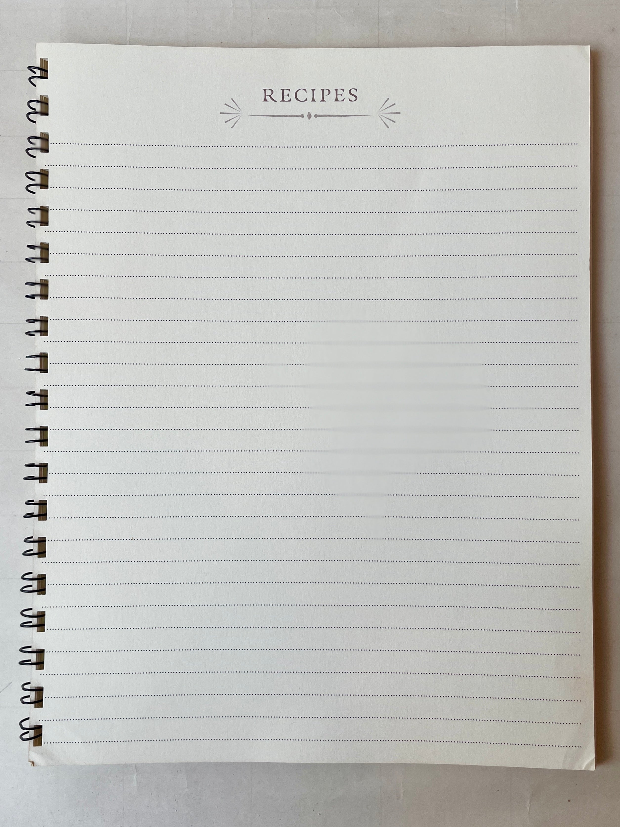 Variety of Fancies Notebook