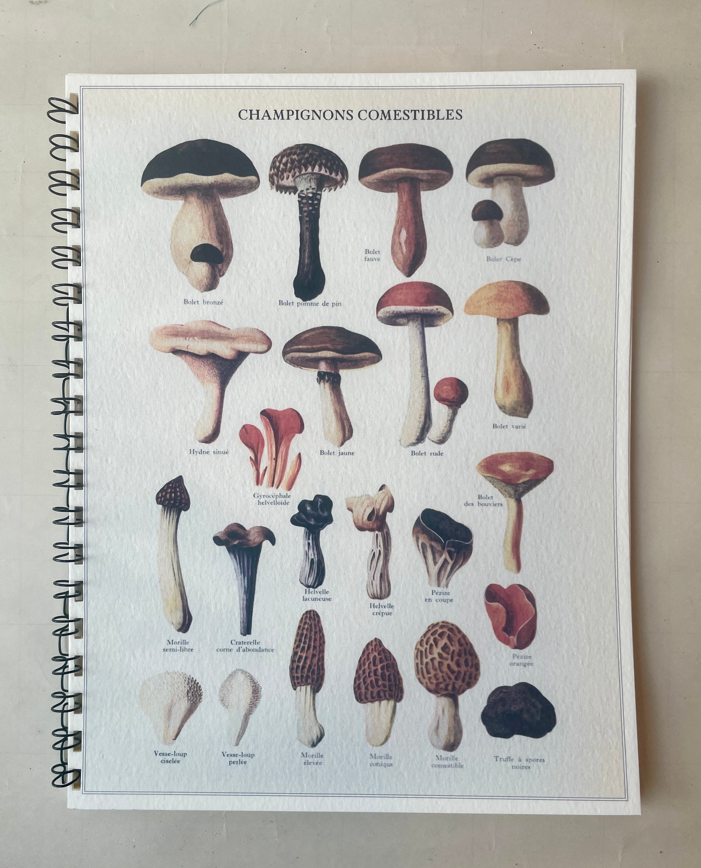 Moody Mushroom Notebook
