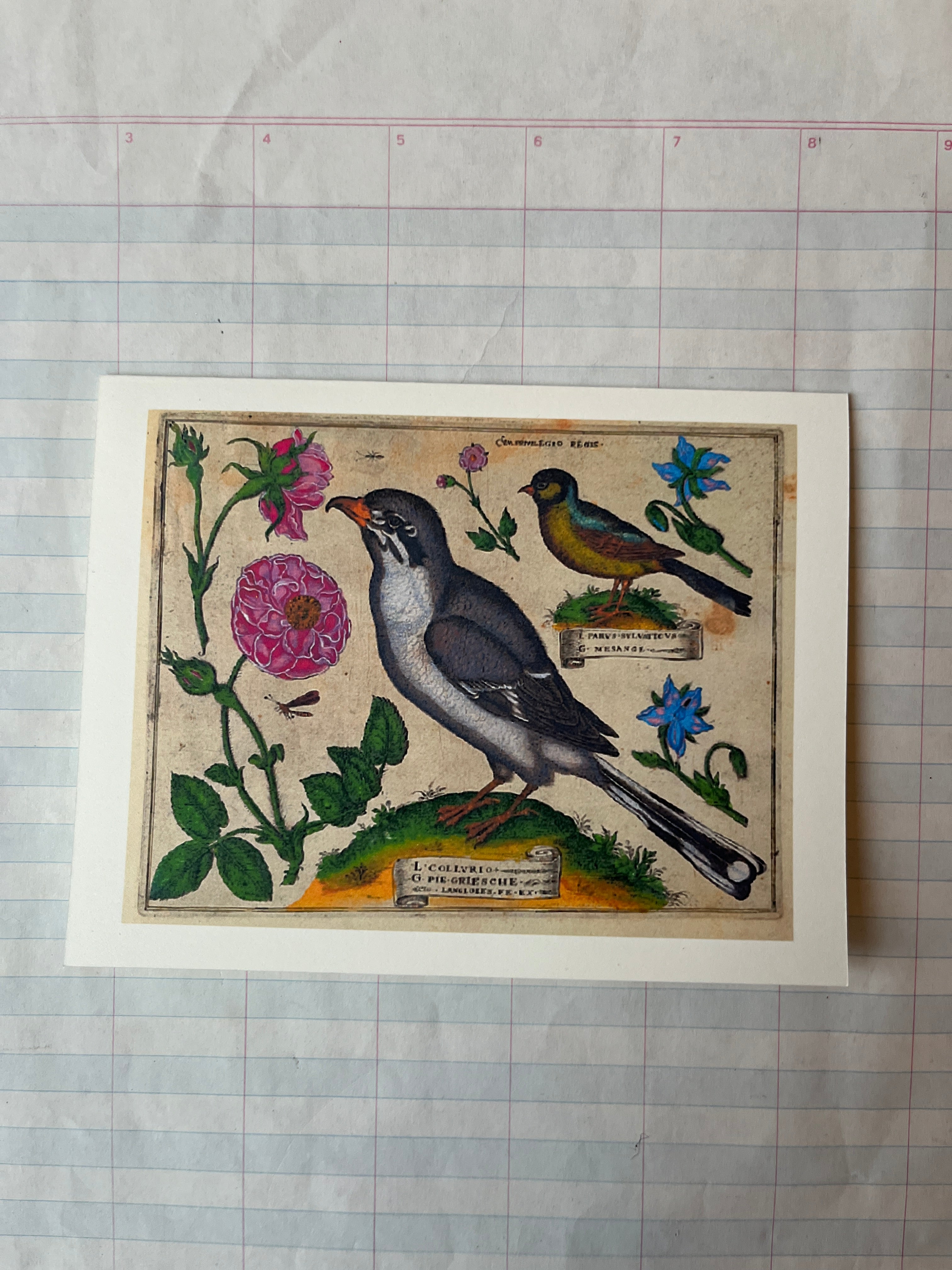 Bird and Flowers Folded Card Set