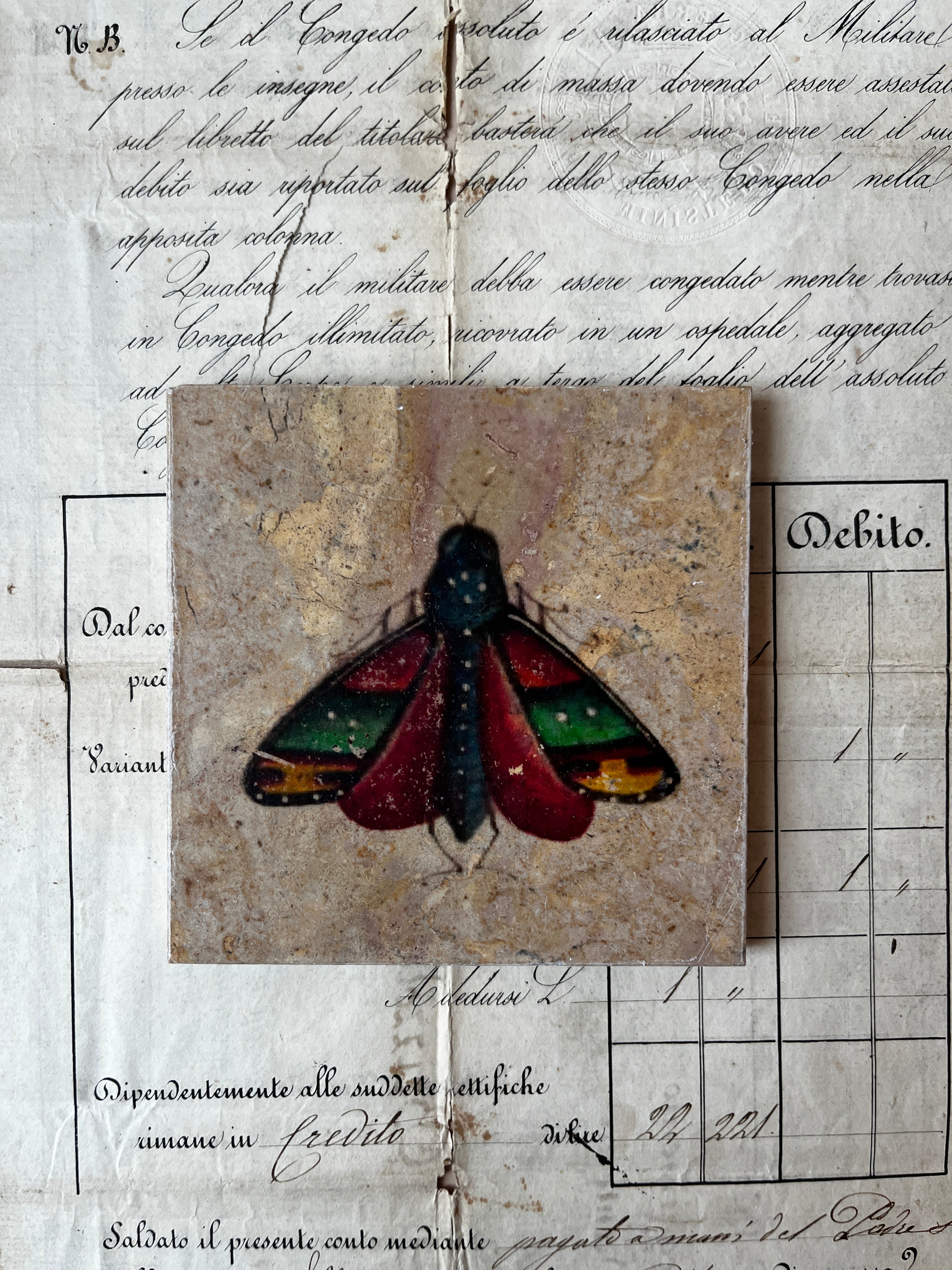 Butterfly Moth Tiles
