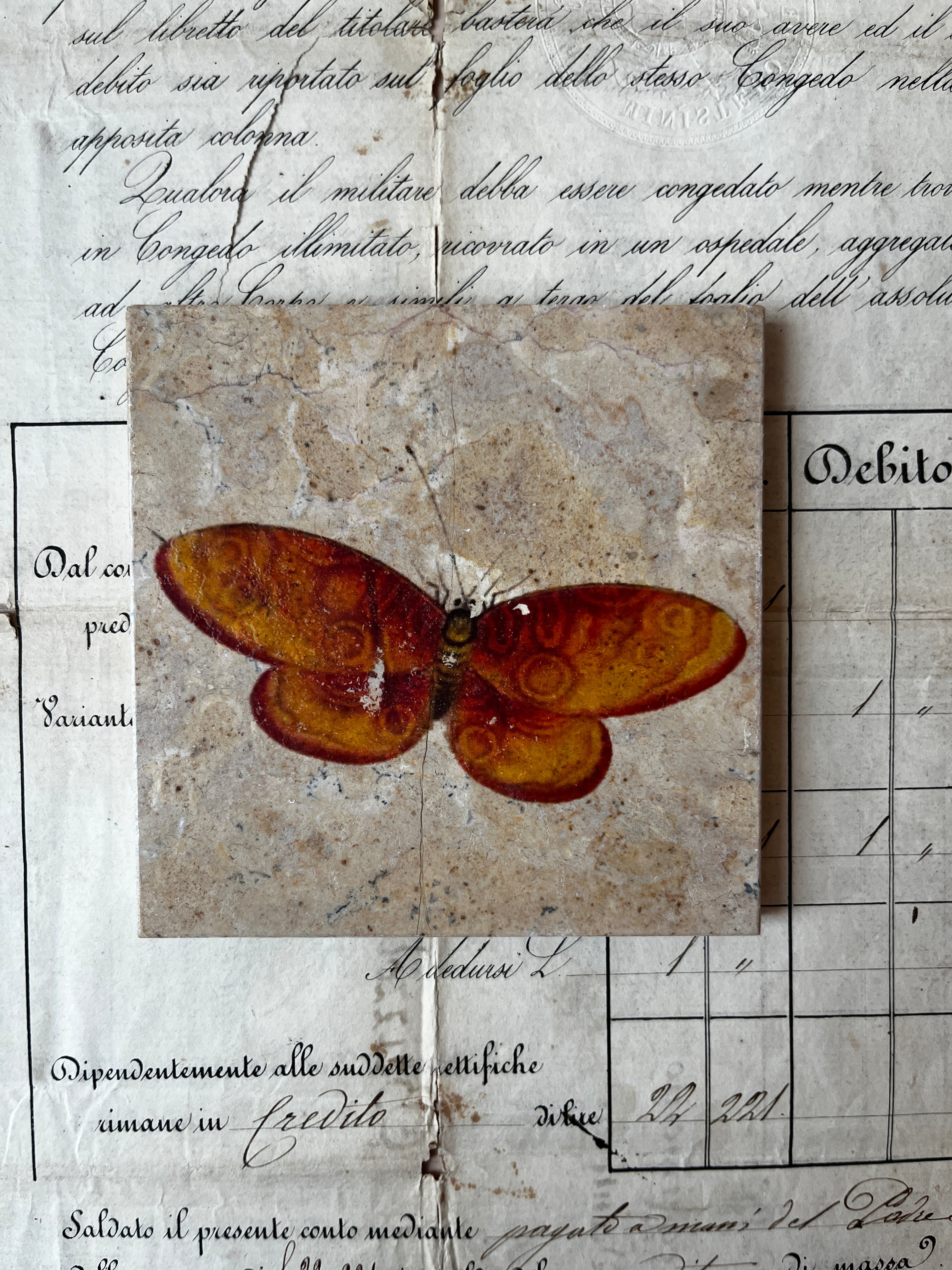 Butterfly Moth Tiles