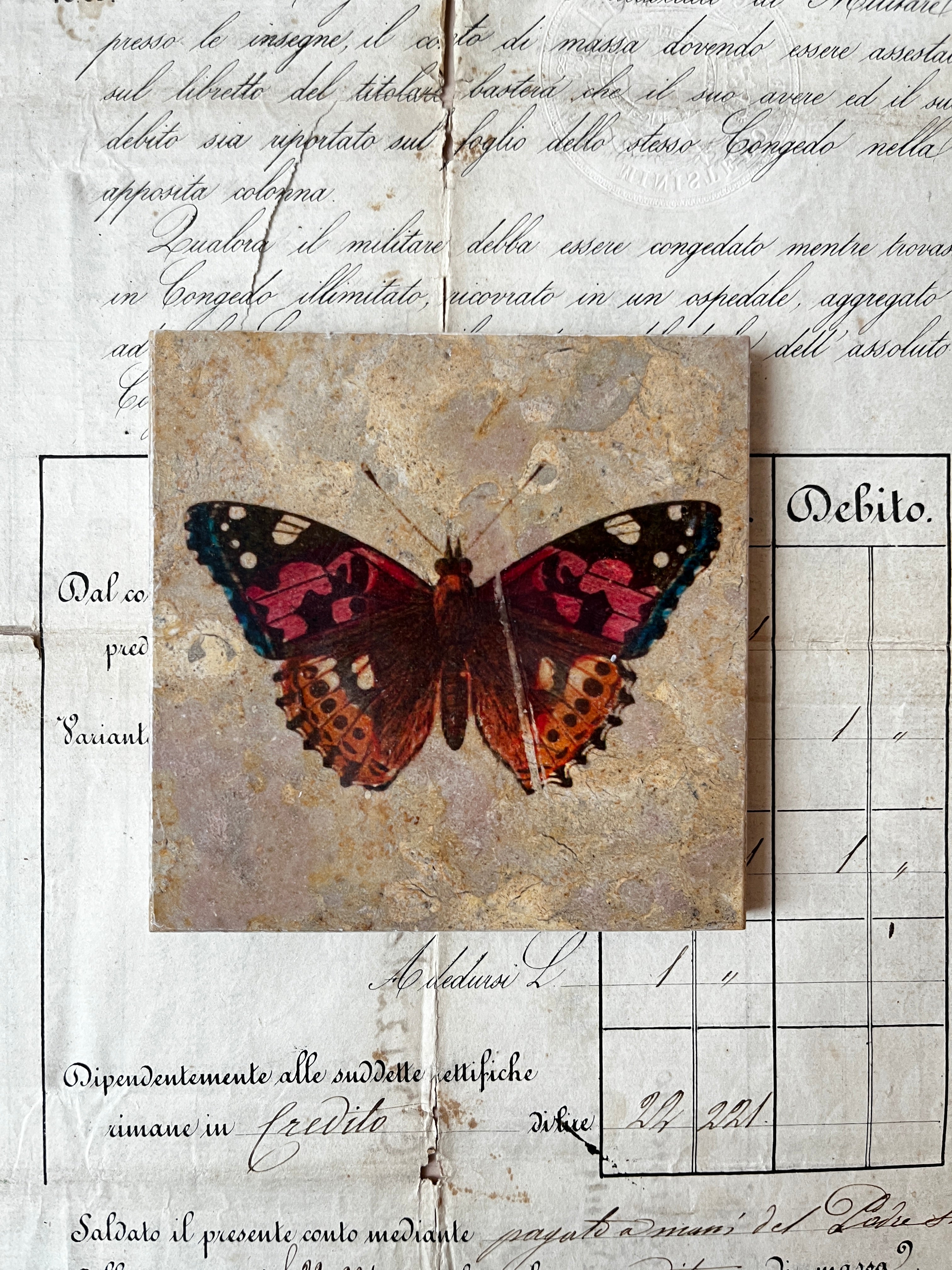 Butterfly Moth Tiles