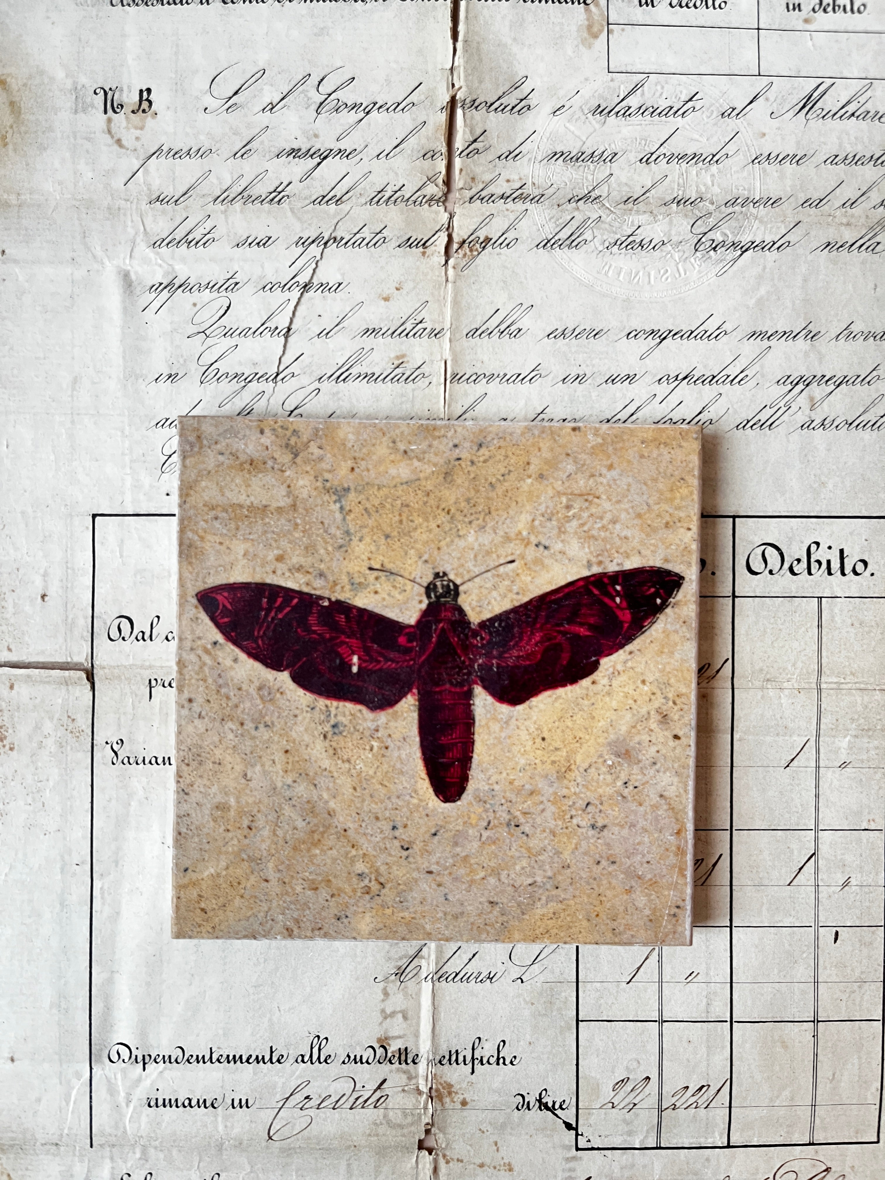 Butterfly Moth Tiles