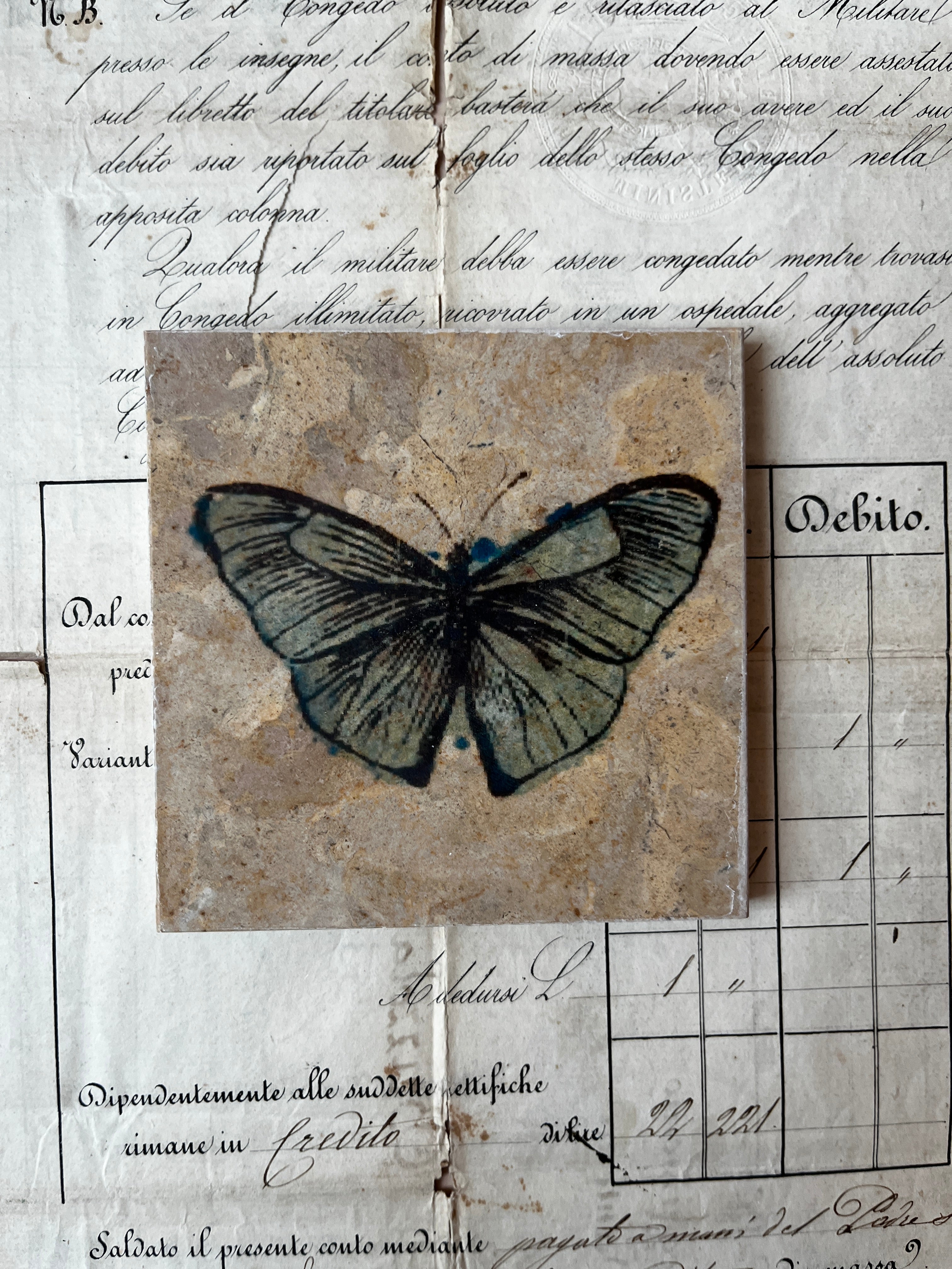 Butterfly Moth Tiles