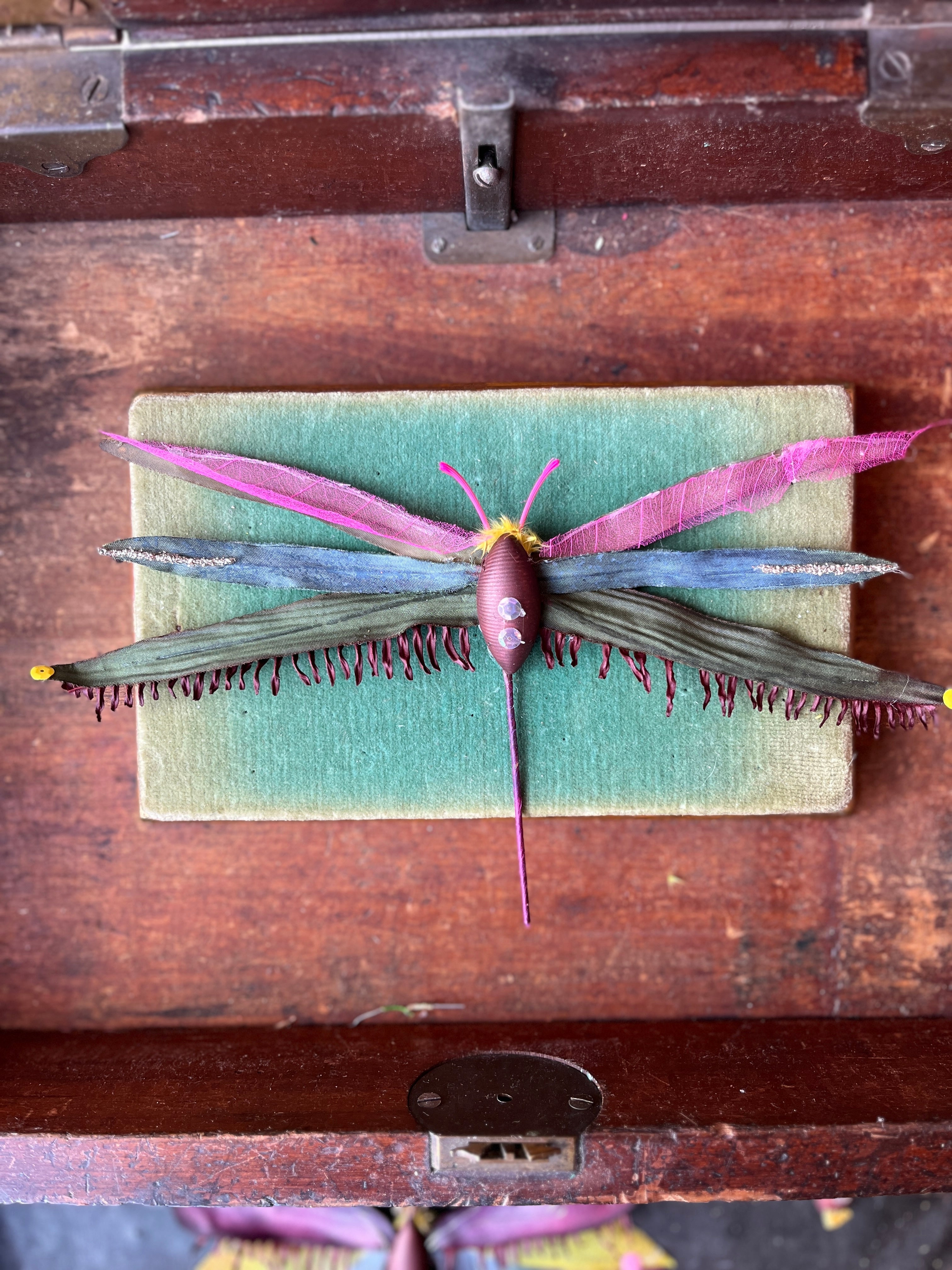 Parcel Handmade Insecta Art Specimens