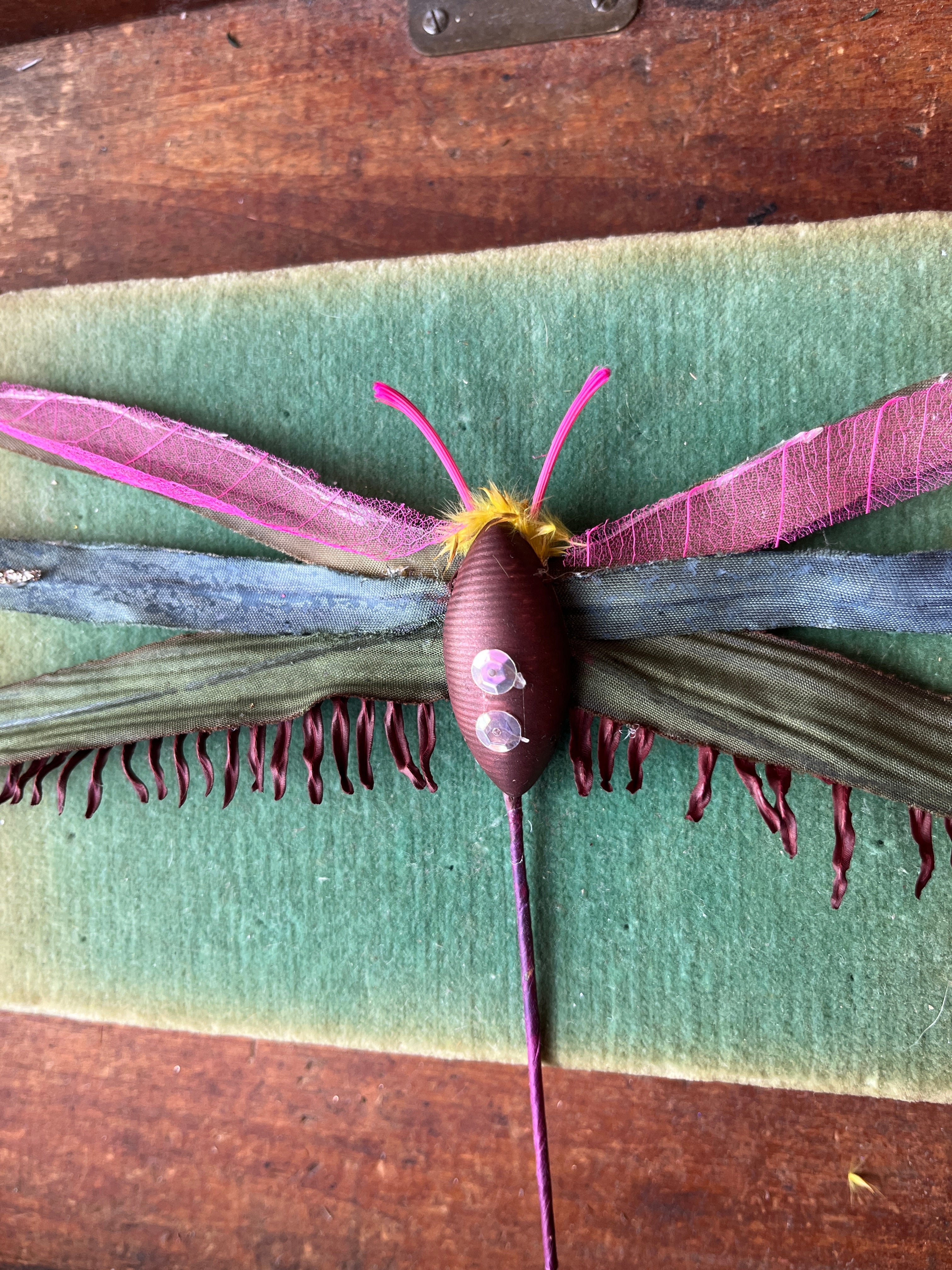 Parcel Handmade Insecta Art Specimens