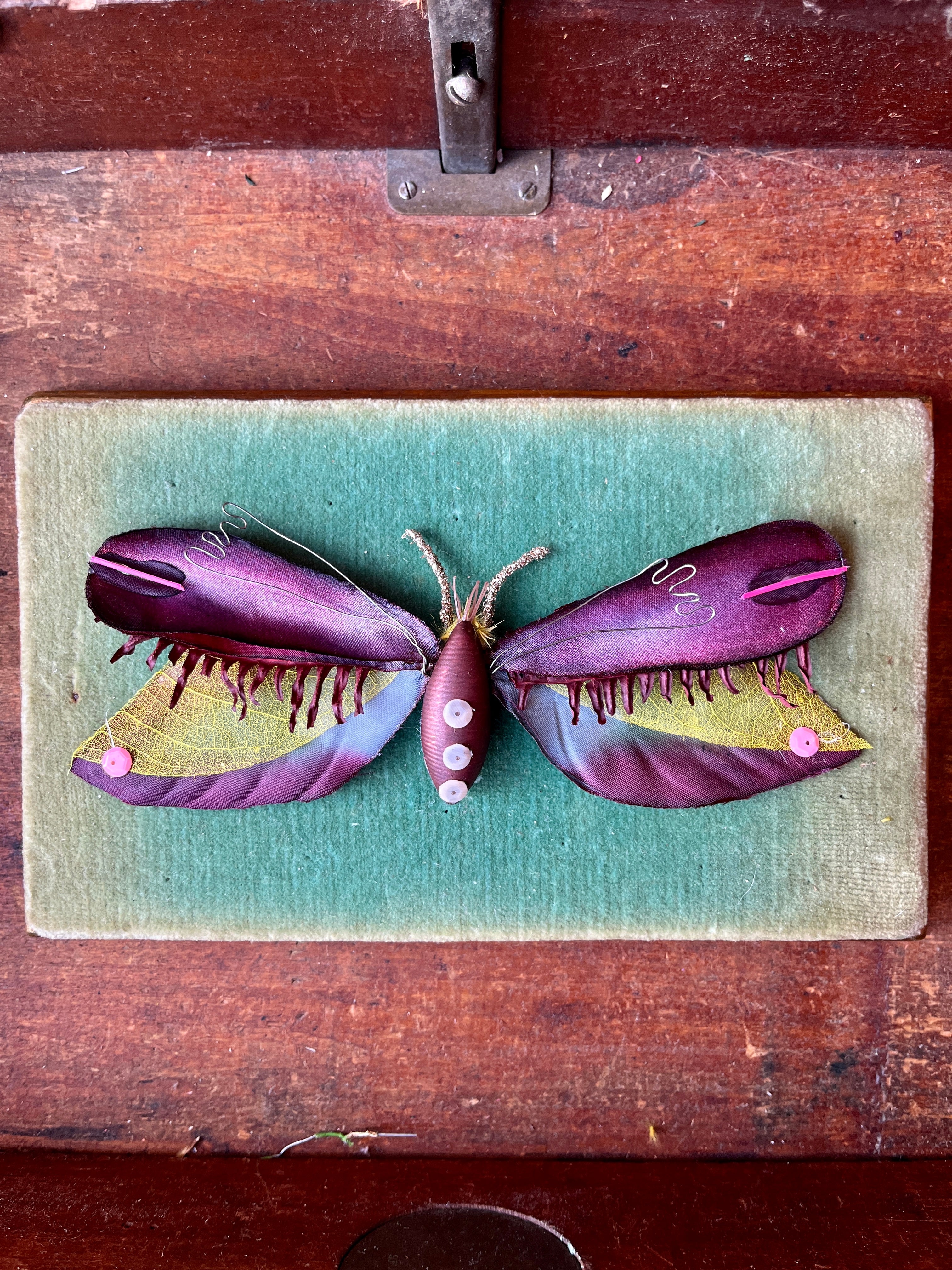 Parcel Handmade Insecta Art Specimens