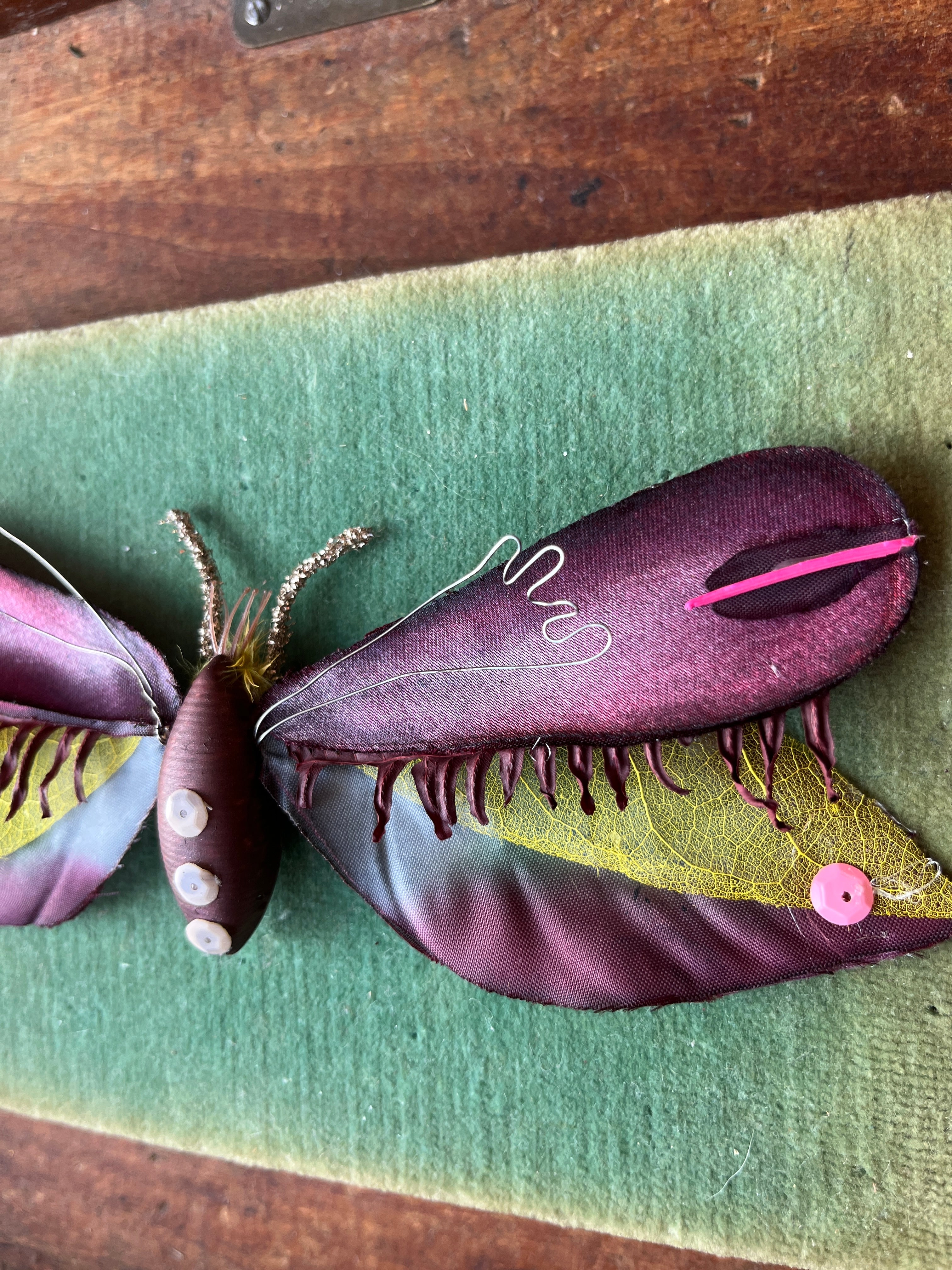 Parcel Handmade Insecta Art Specimens