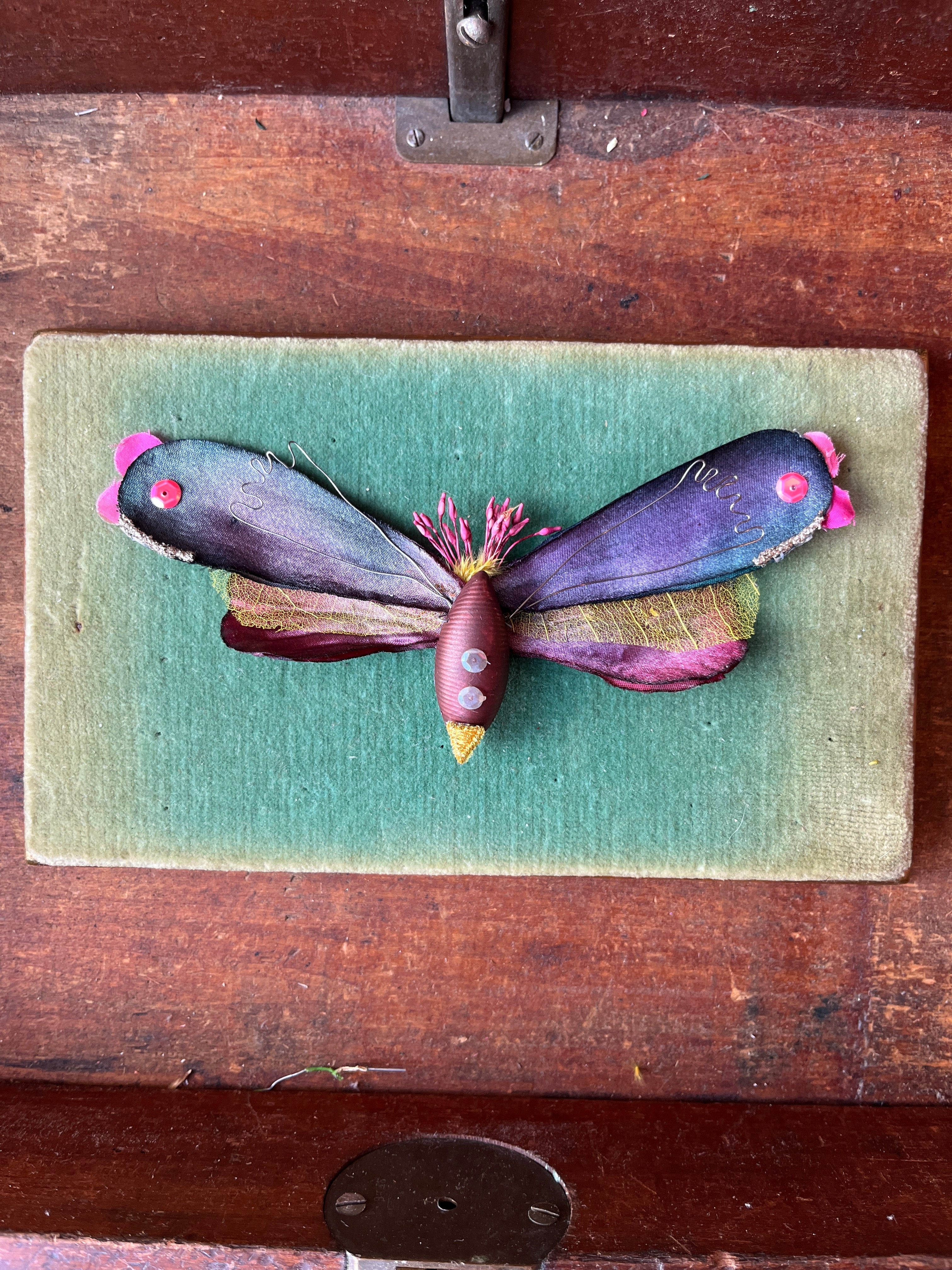 Parcel Handmade Insecta Art Specimens