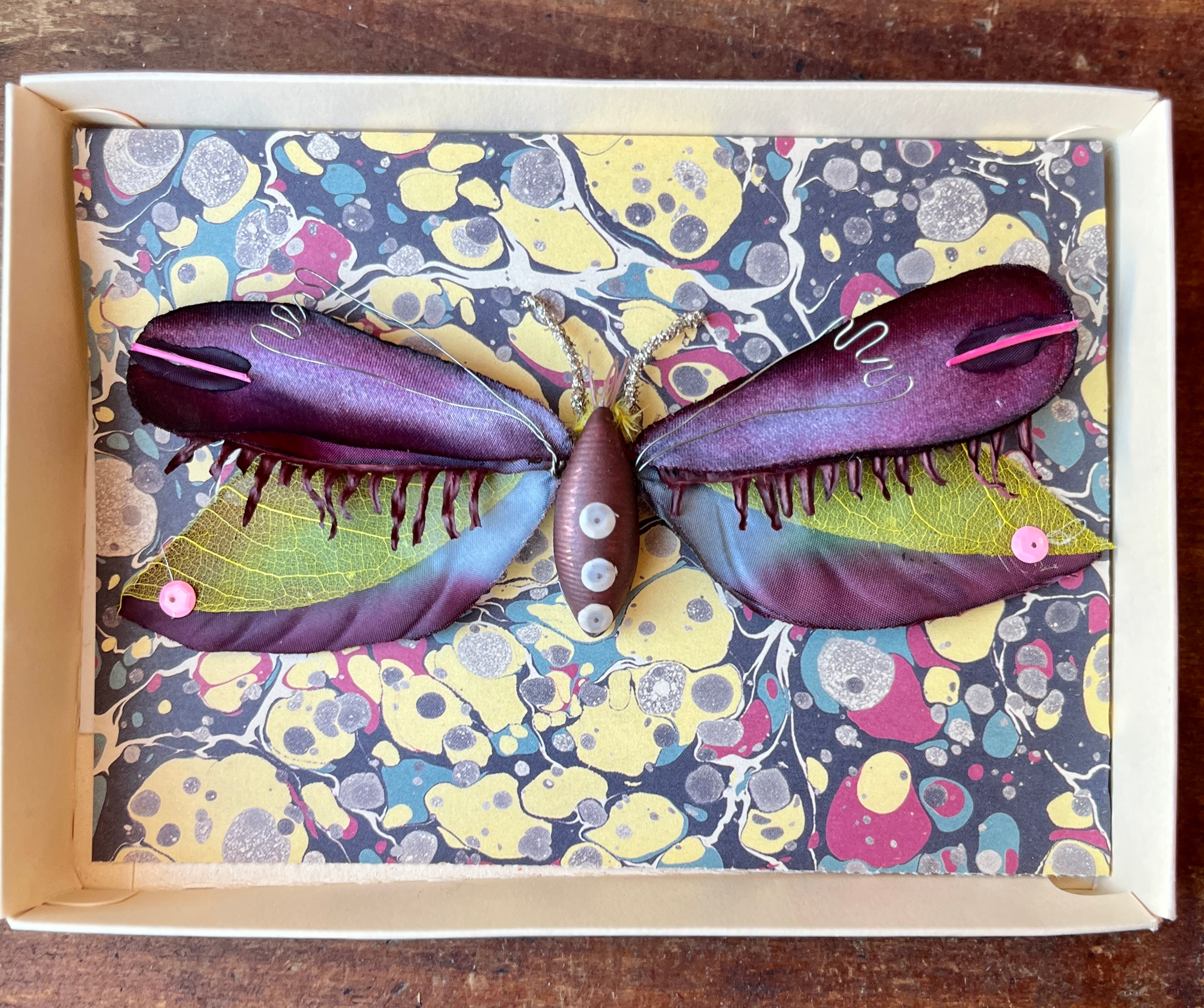 Parcel Handmade Insecta Art Specimens