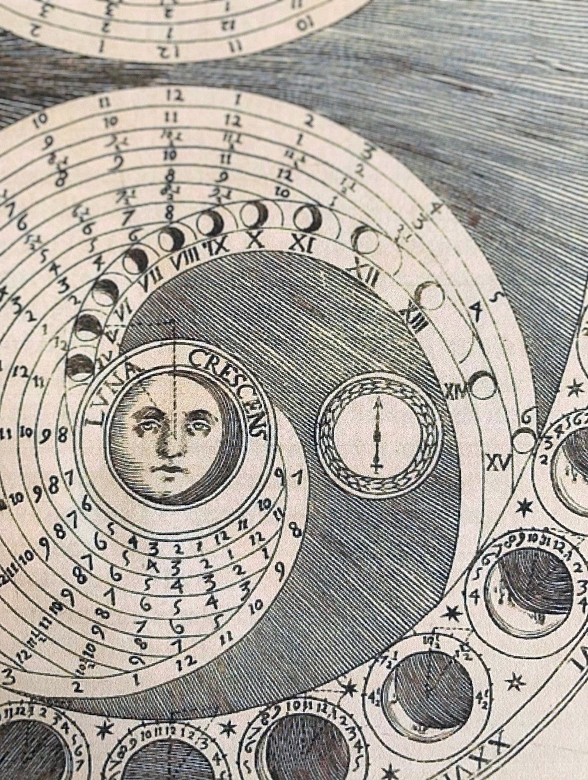 Celestial Moon Phase/Lunar Cycle Print - PARCEL